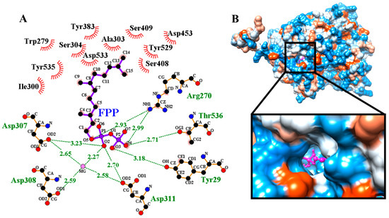 Cloning, Expression and Functional Characterization of a