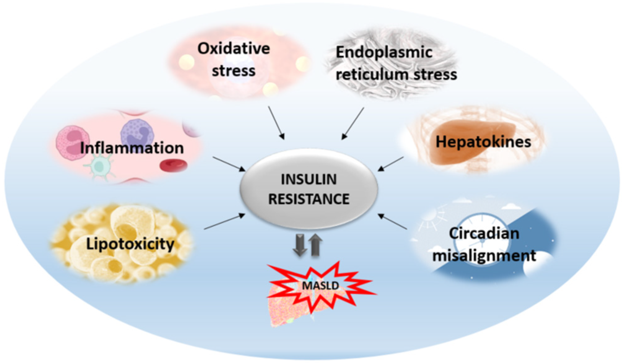 ポリシー Unlocking the potential of β-limit dextrin: Preparation