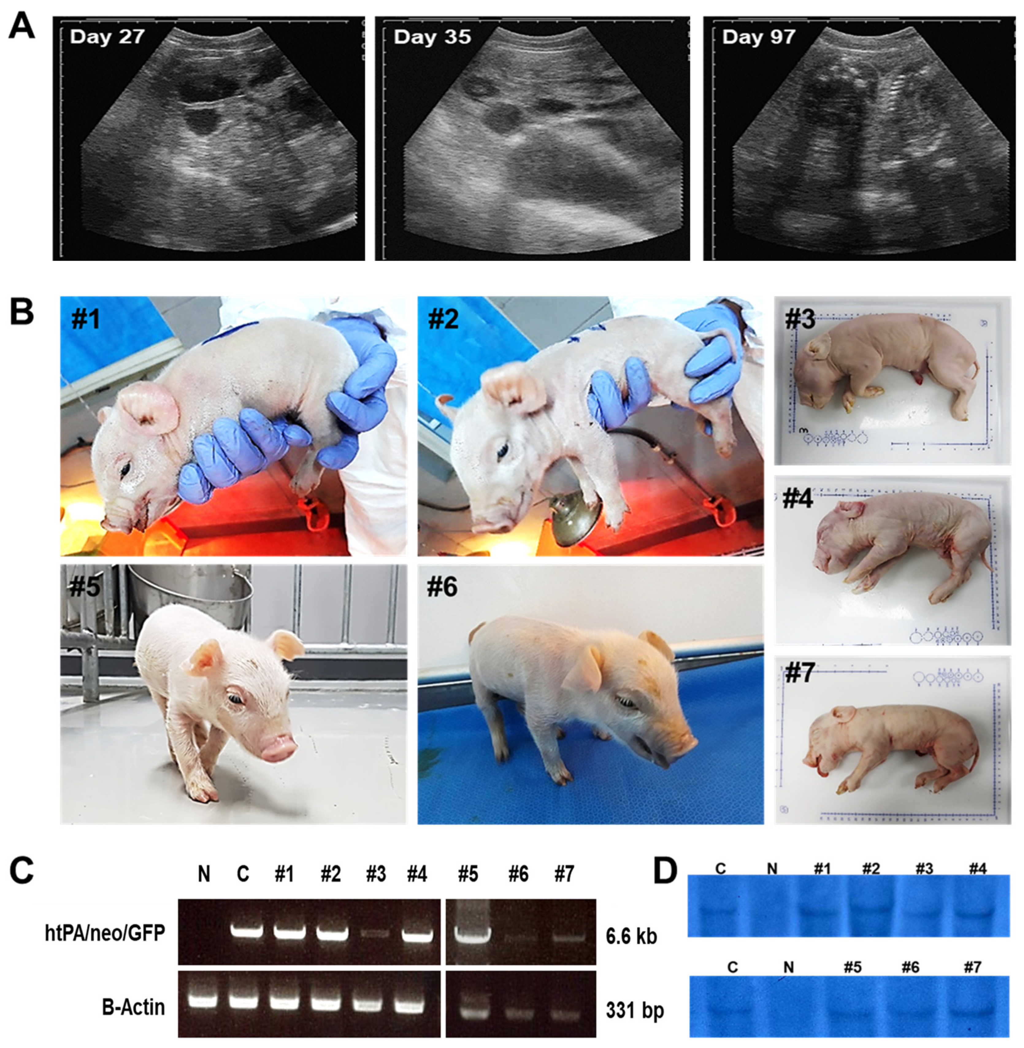 Cimb 45 00571 g003 Cimb 45 00571 g003
