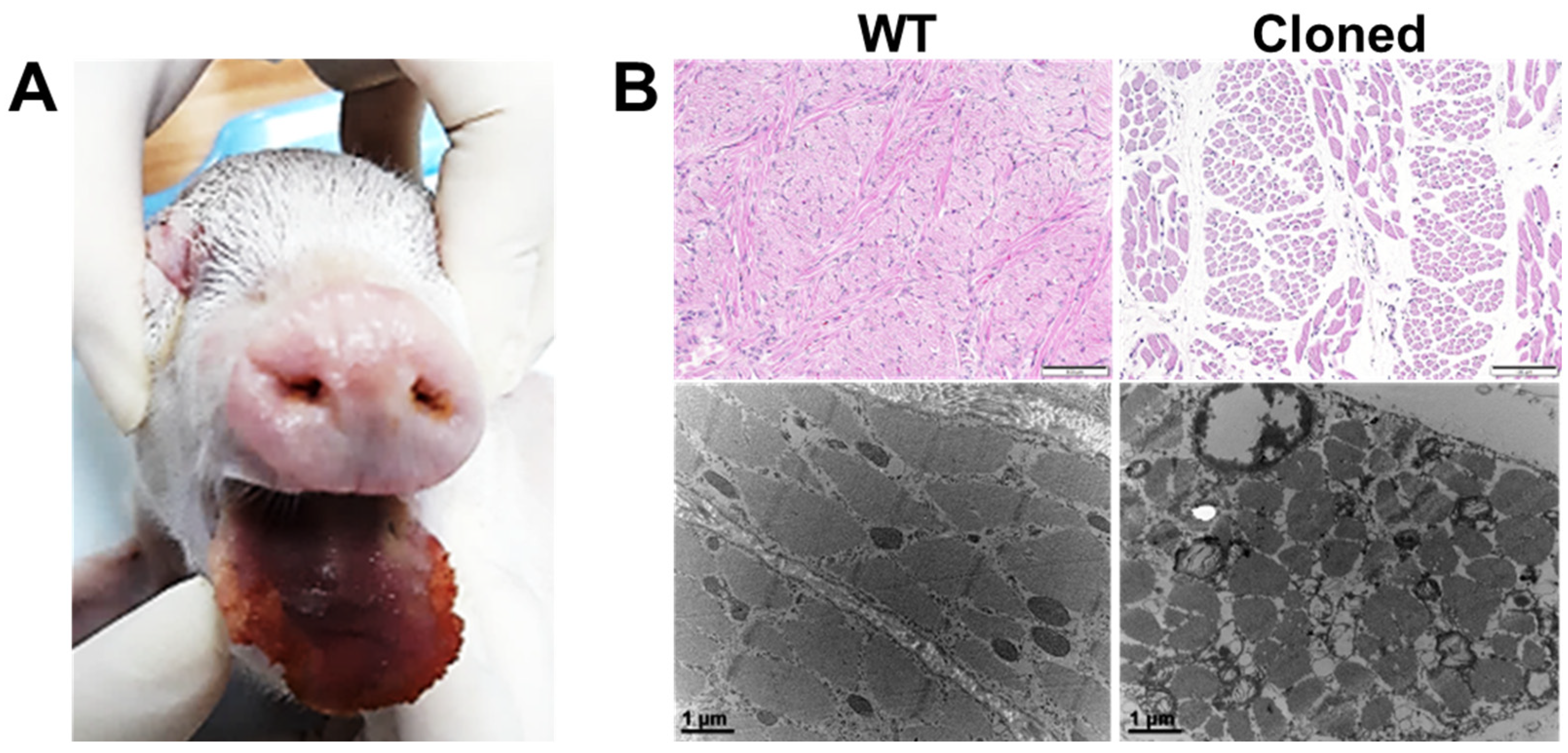 Cimb 45 00571 g004 Cimb 45 00571 g004