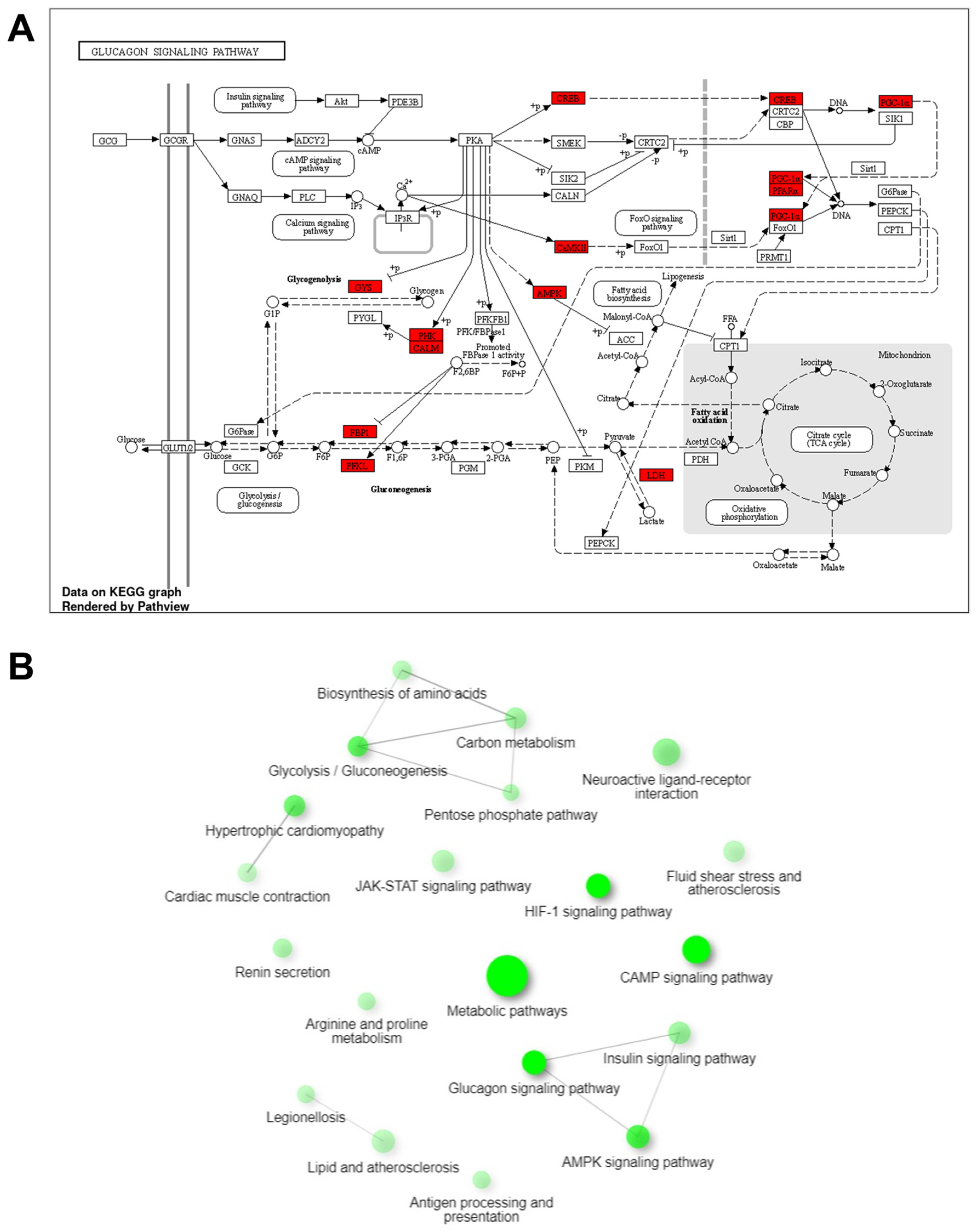 Cimb 45 00571 g006 Cimb 45 00571 g006