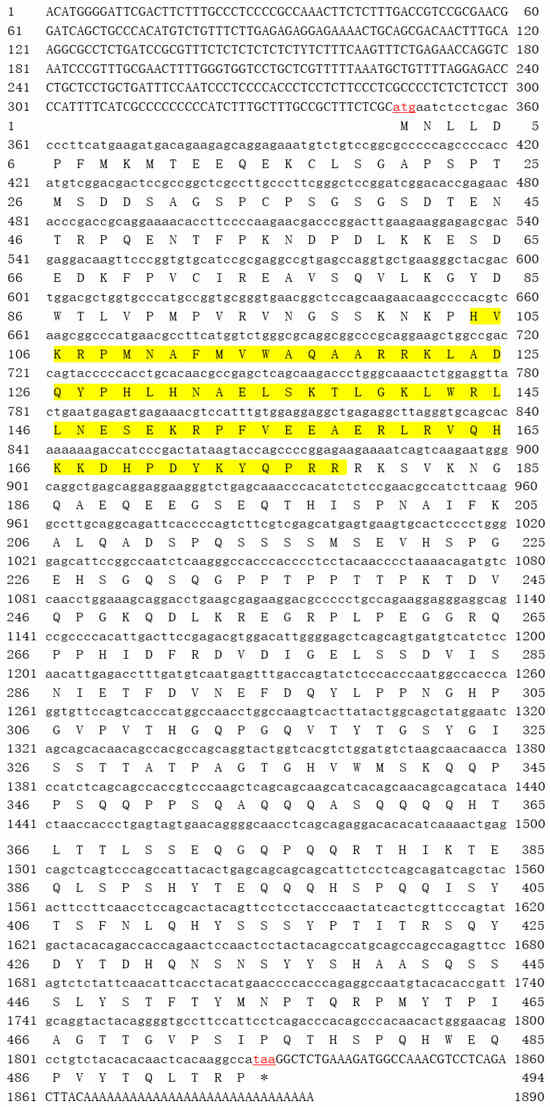 ふぐ Evolution of Fish Let-7 MicroRNAs and Their Expression