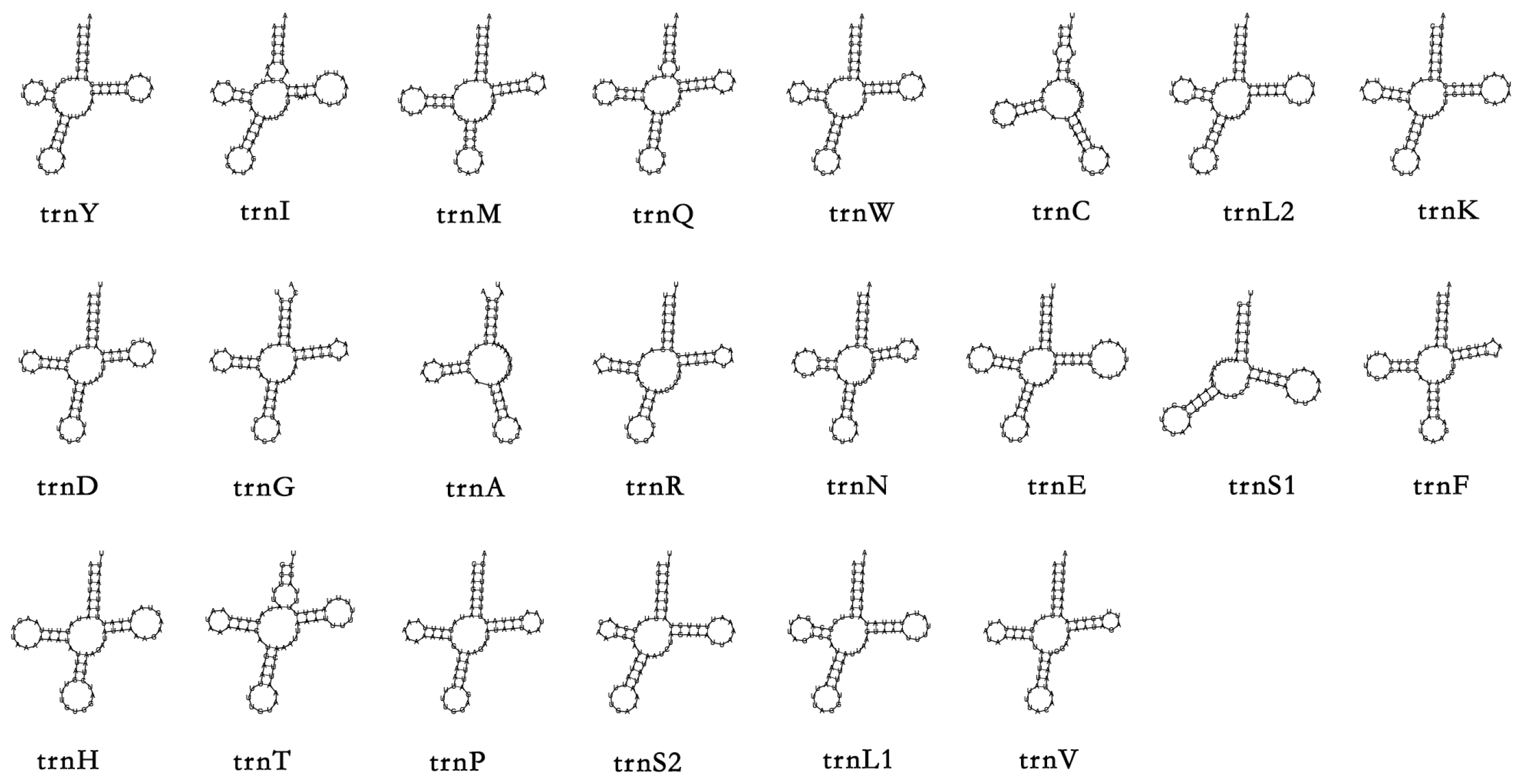 Cimb 45 00587 g003 Cimb 45 00587 g003