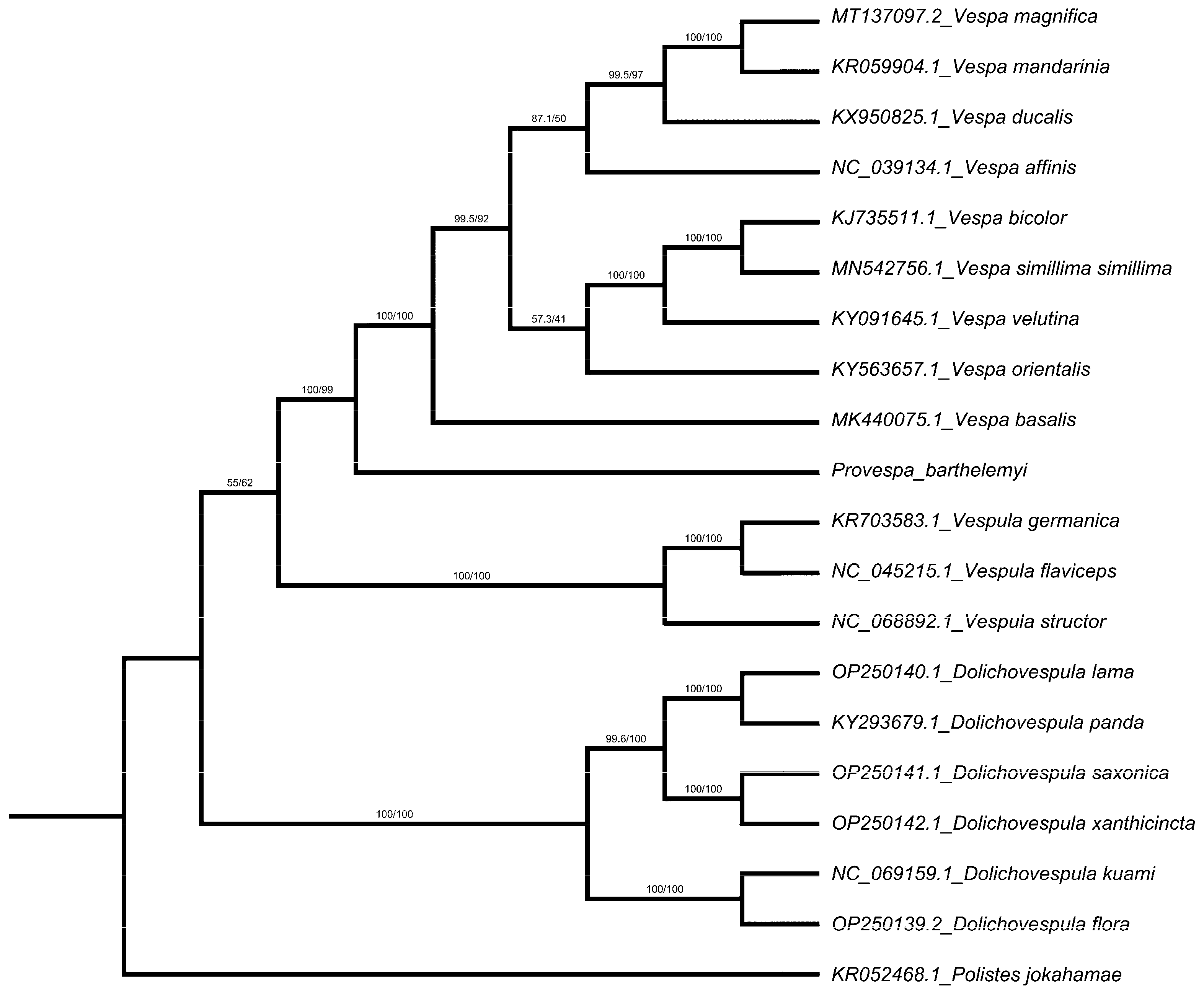 Cimb 45 00587 g005 Cimb 45 00587 g005