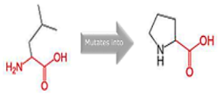 Cimb 45 00589 i005 Cimb 45 00589 i005