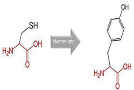 Cimb 45 00589 i006 Cimb 45 00589 i006