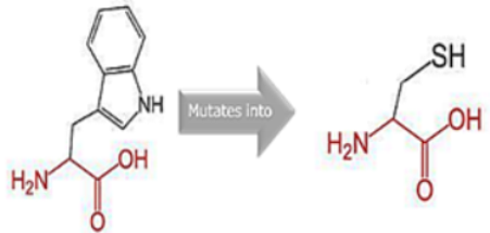 Cimb 45 00589 i010 Cimb 45 00589 i010