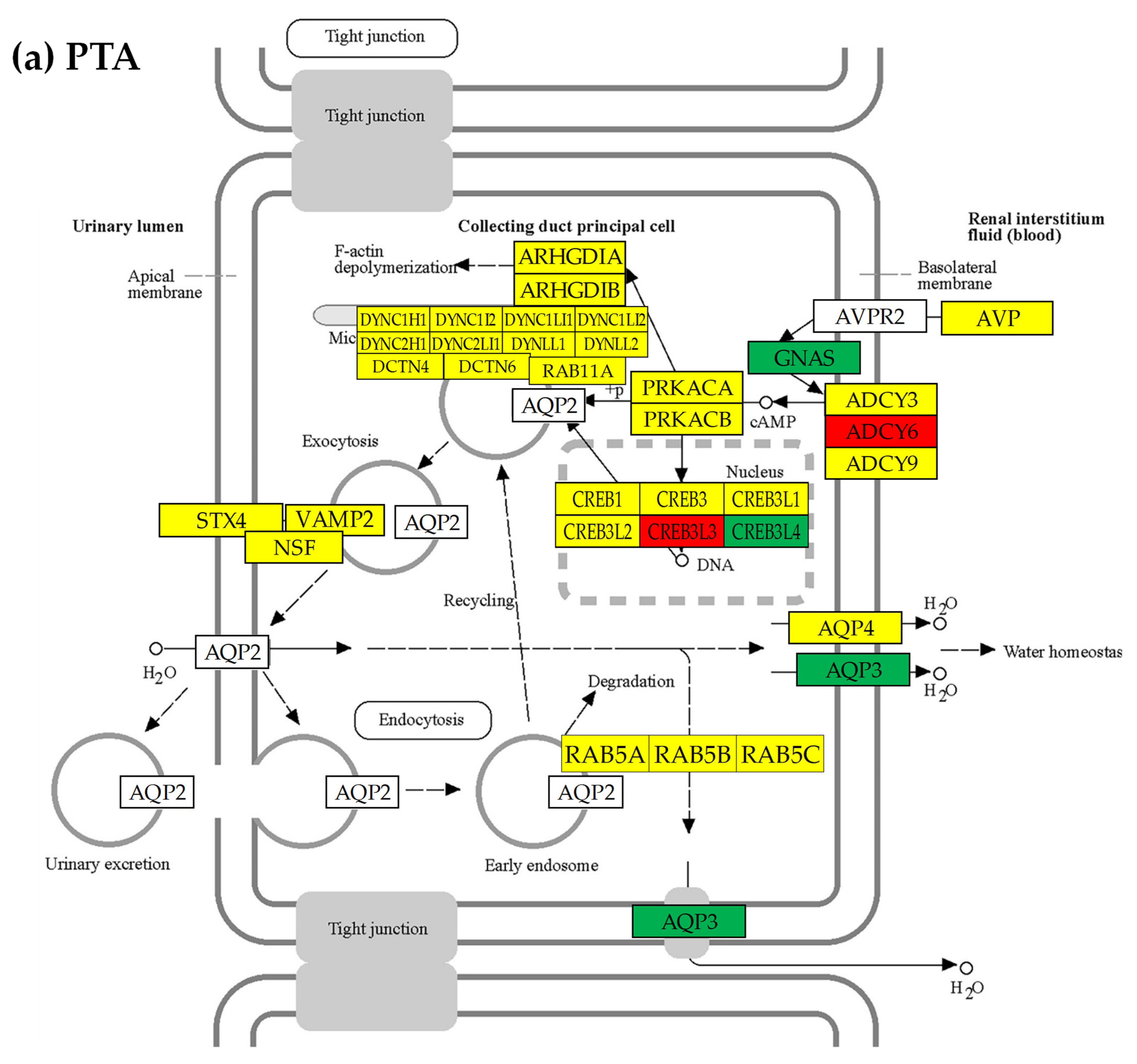 Cimb 45 00594 g005a Cimb 45 00594 g005a