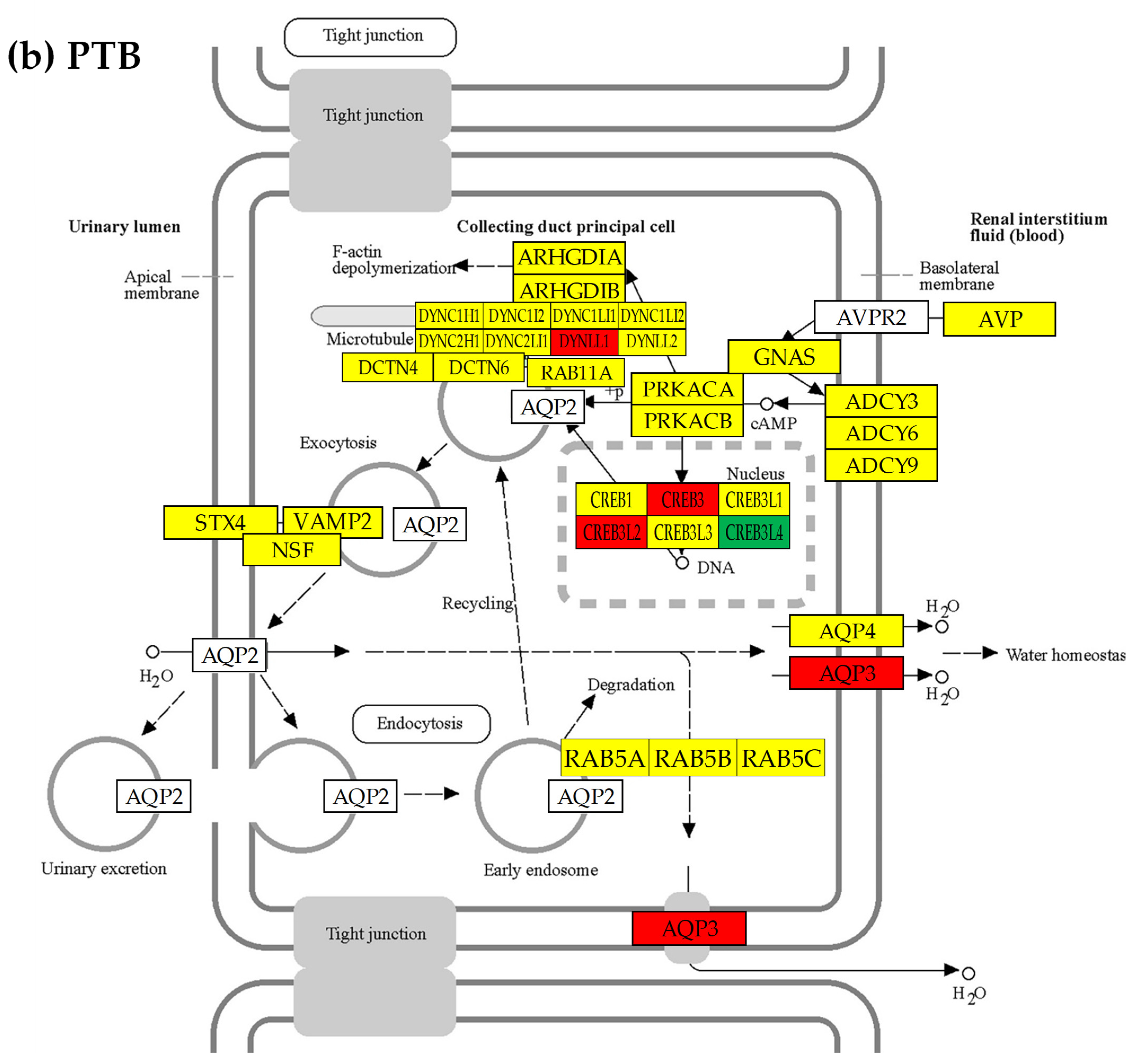 Cimb 45 00594 g005b Cimb 45 00594 g005b