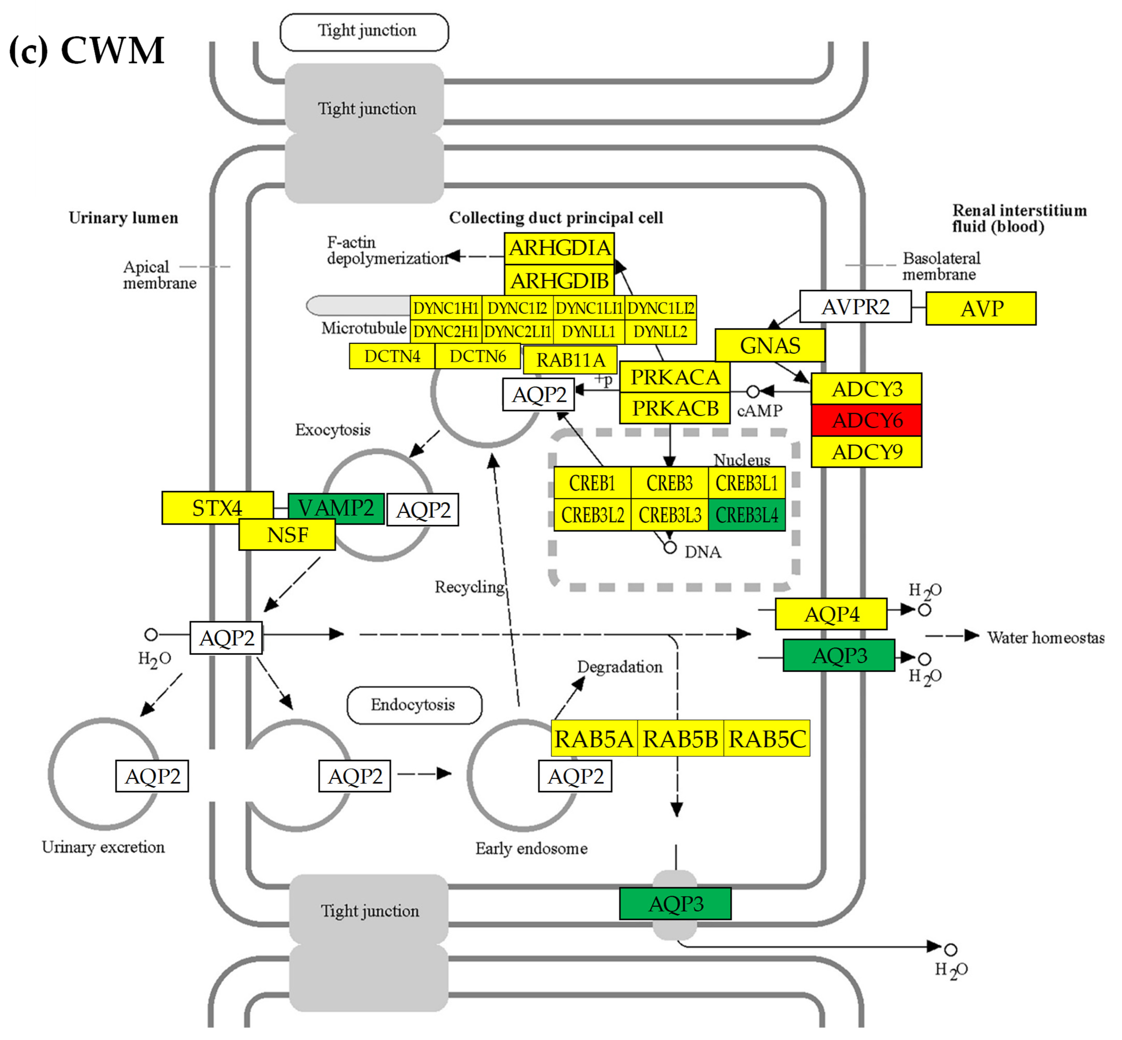 Cimb 45 00594 g005c Cimb 45 00594 g005c