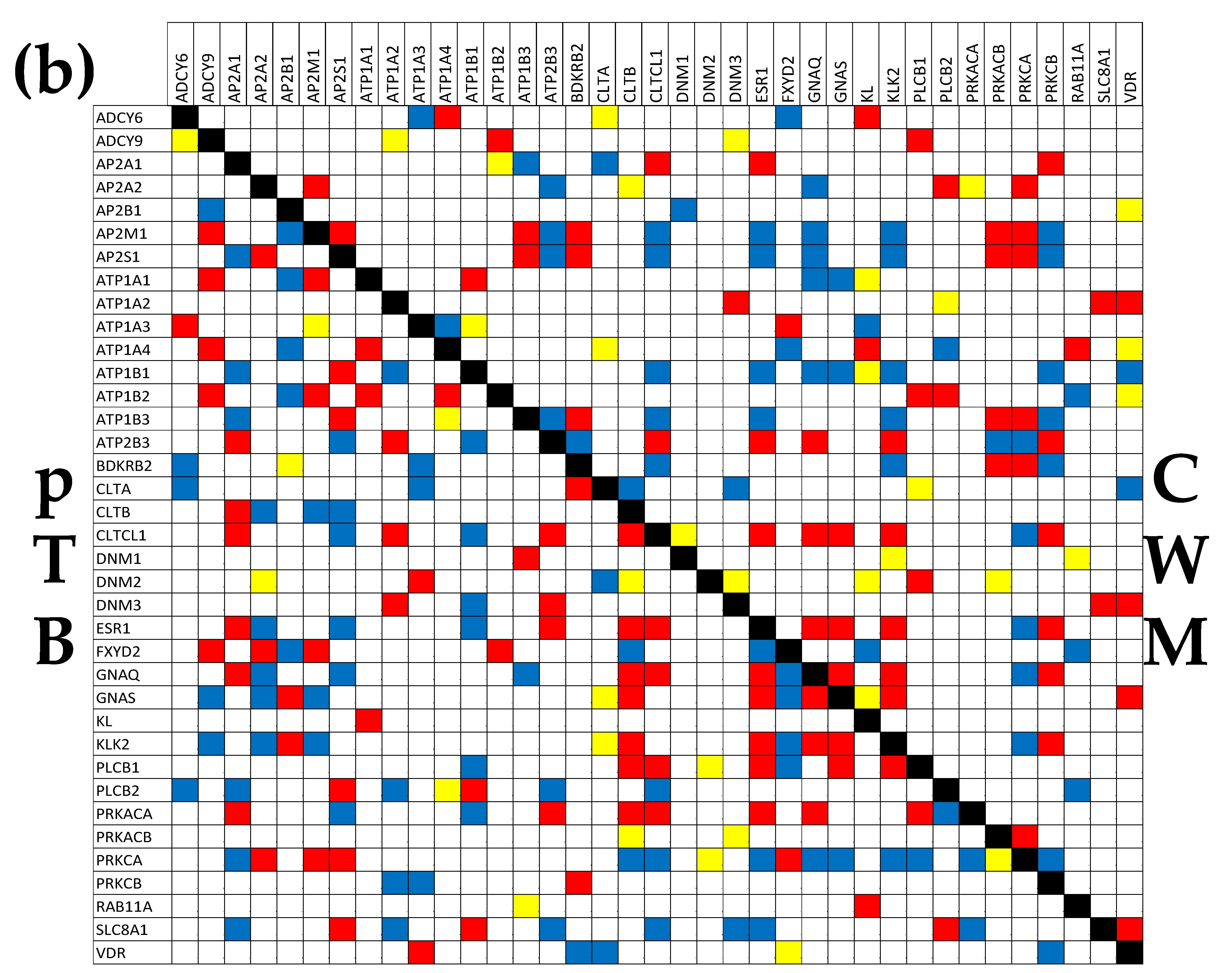 Cimb 45 00594 g006b Cimb 45 00594 g006b