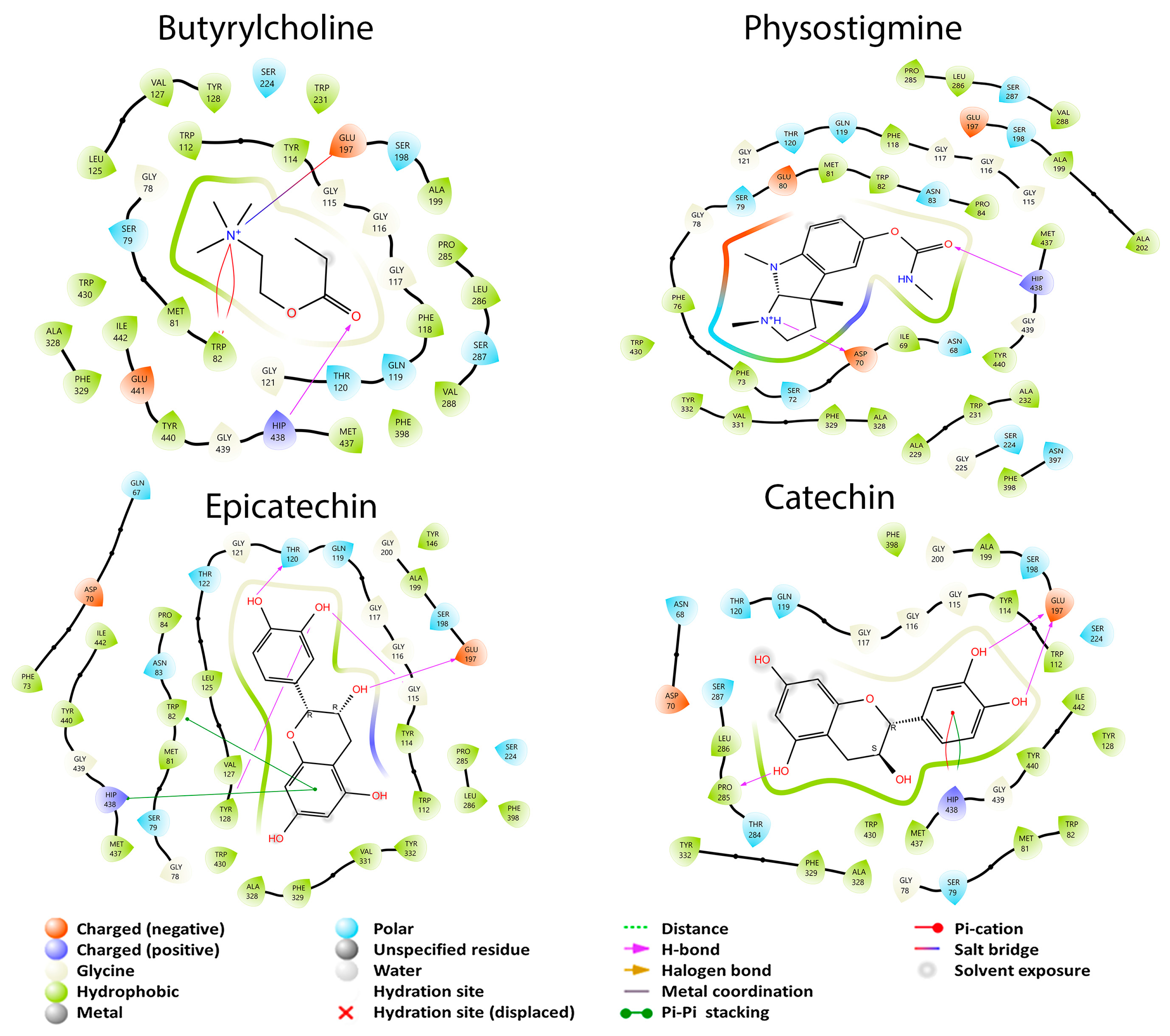 Cimb 45 00604 g004 Cimb 45 00604 g004