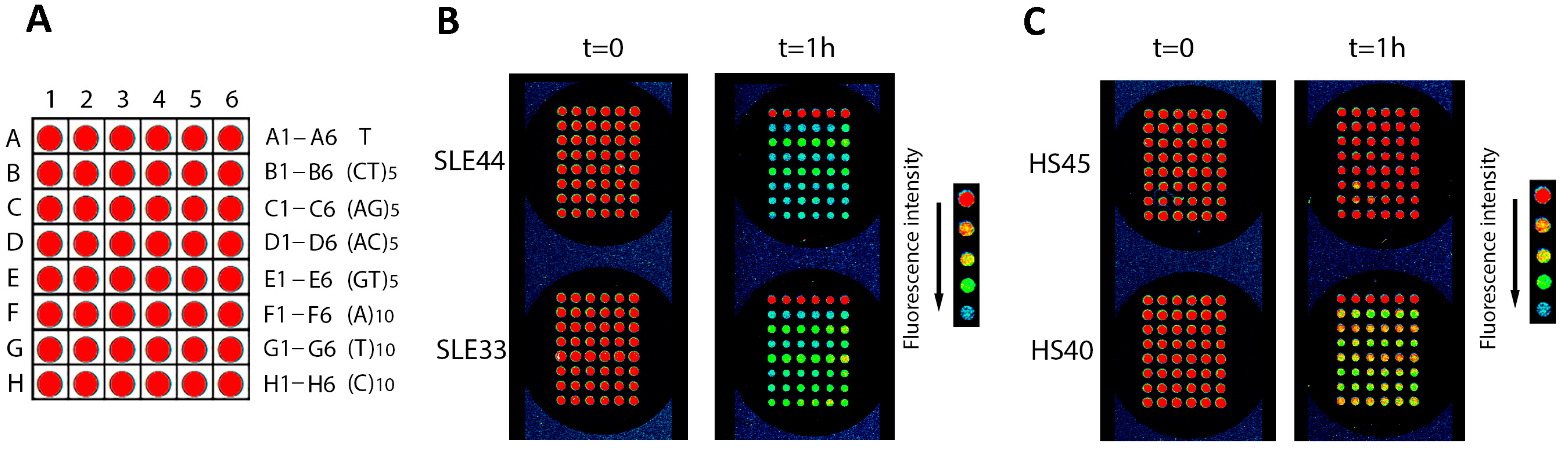 Cimb 45 00617 g001 Cimb 45 00617 g001