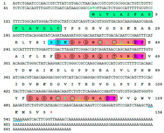 エオティニテス　アンモナイト　Eothinites エオチニテス TOX Antibody, anti-human/mouse, REAfinity™ | Miltenyi Biotec