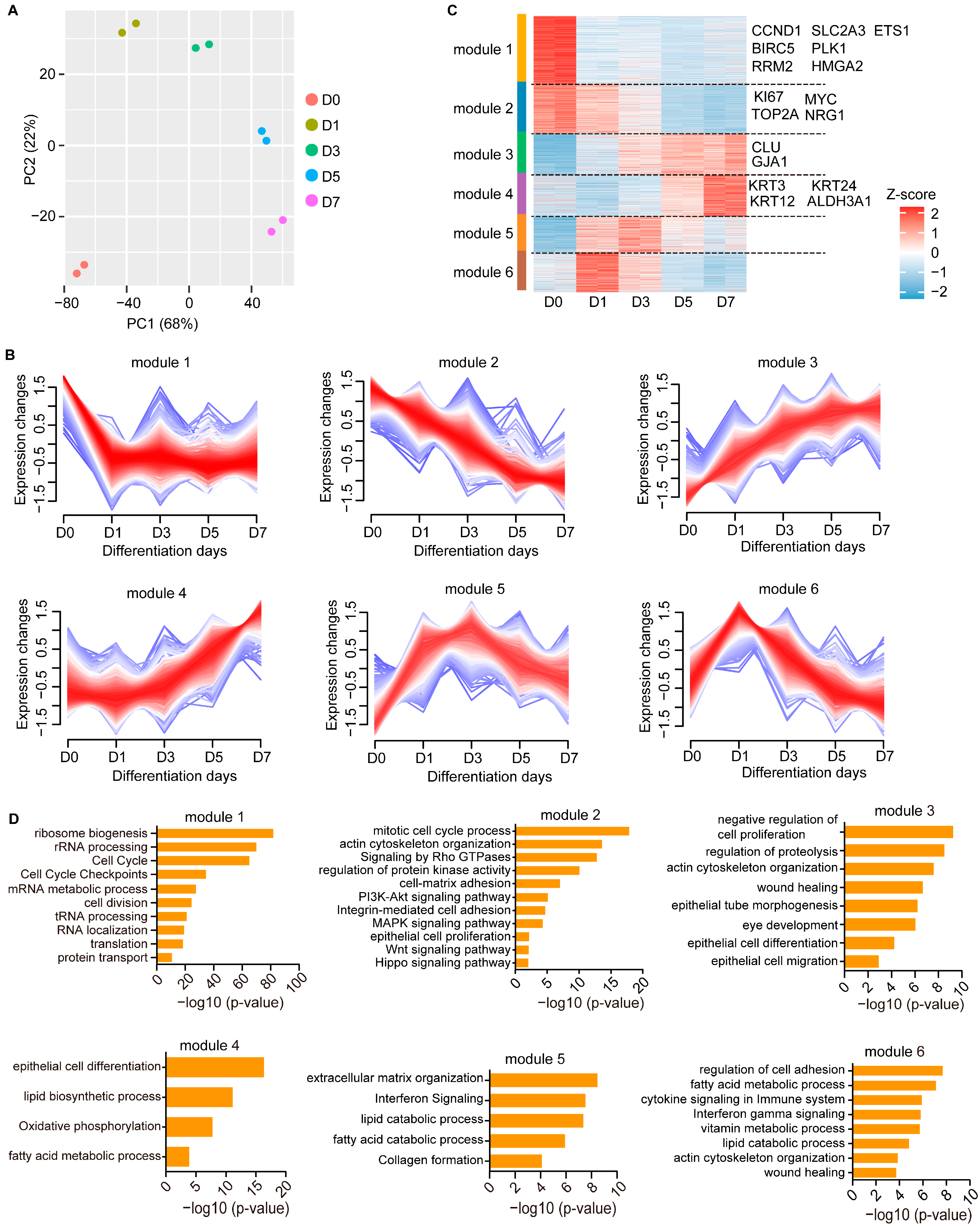 Cimb 45 00632 g002 Cimb 45 00632 g002