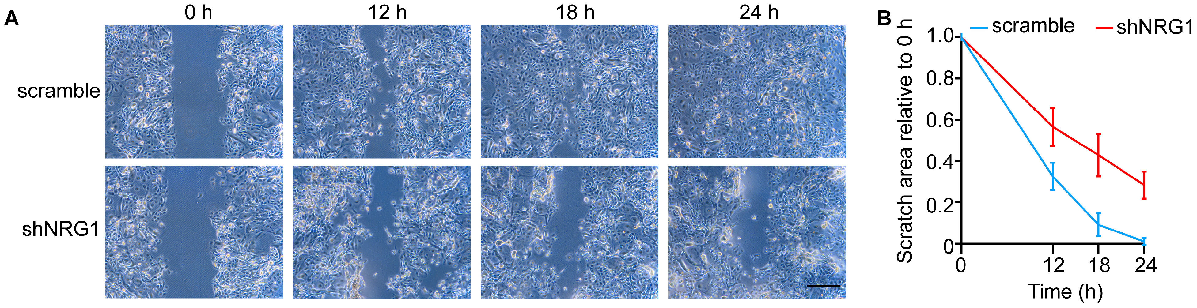 Cimb 45 00632 g004 Cimb 45 00632 g004