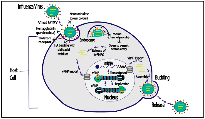 Cimb 46 00014 g003 Cimb 46 00014 g003