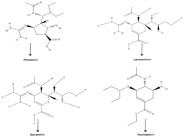 Cimb 46 00014 g005 Cimb 46 00014 g005