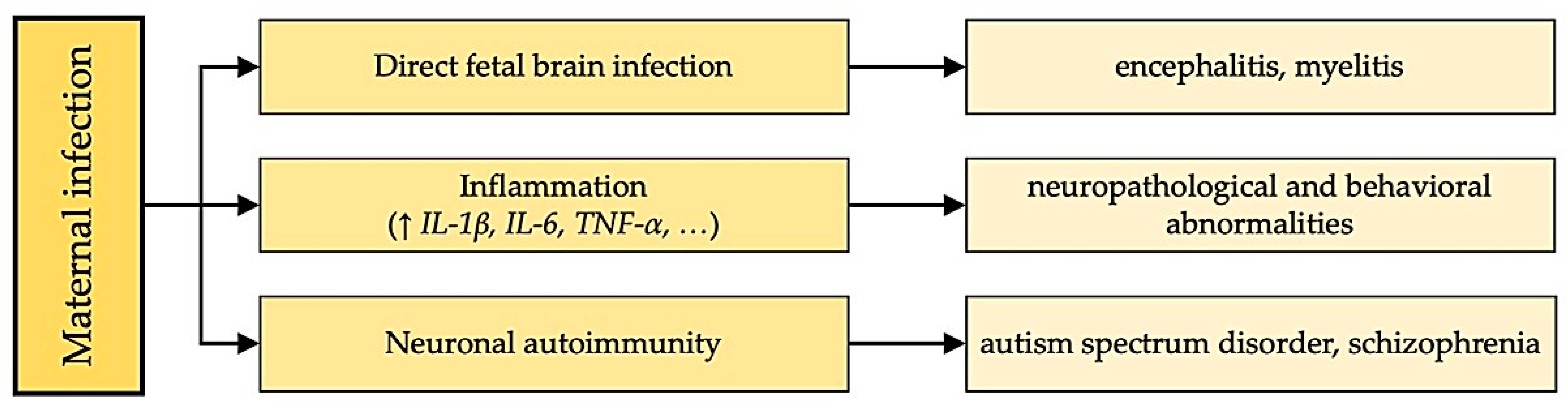 Cimb 46 00023 g001 Cimb 46 00023 g001