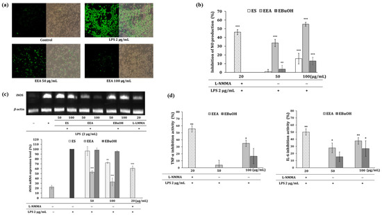 Quantitative Analysis and Molecular Docking Simulation of