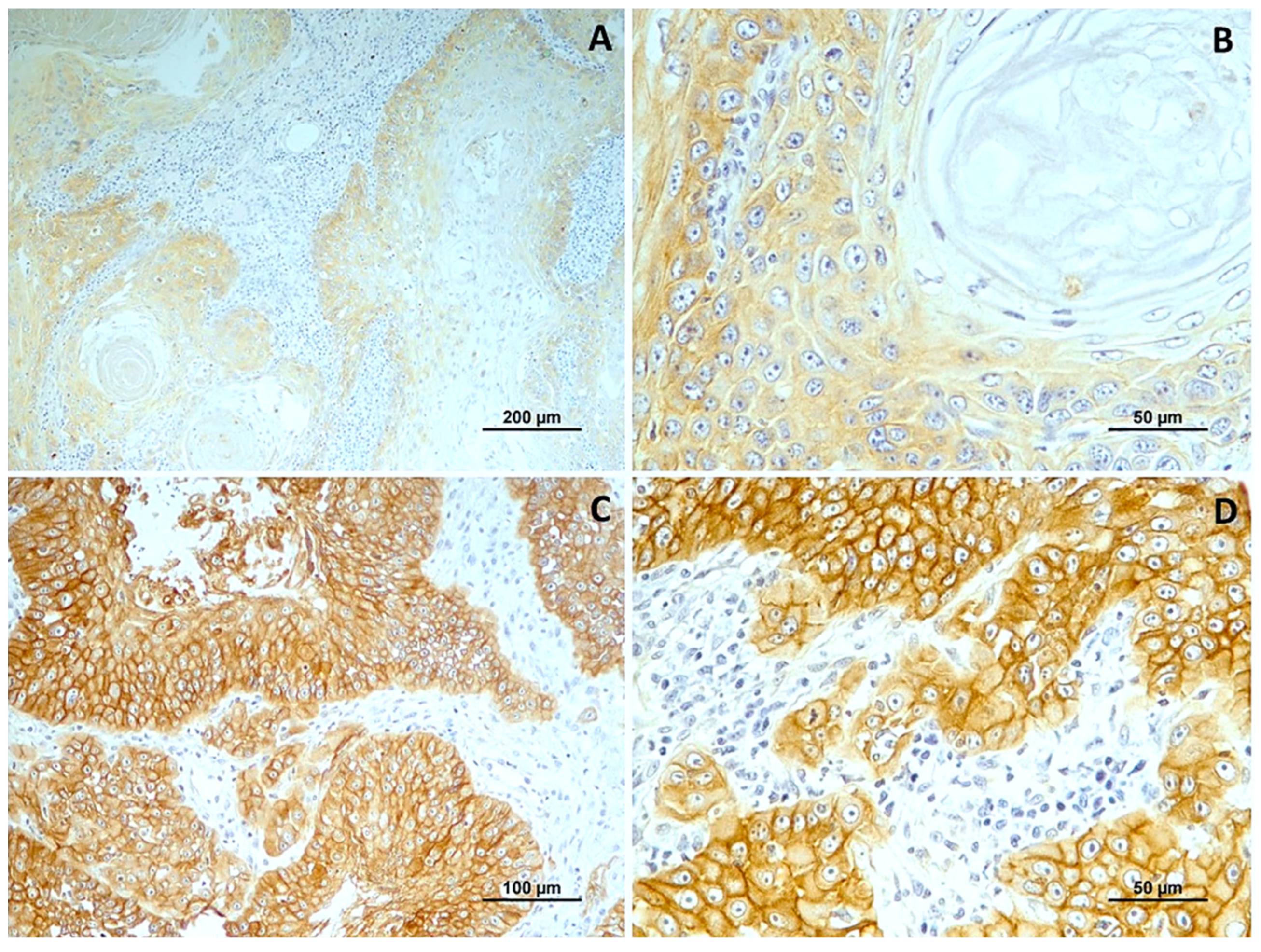 Cimb 46 00031 g004 Cimb 46 00031 g004