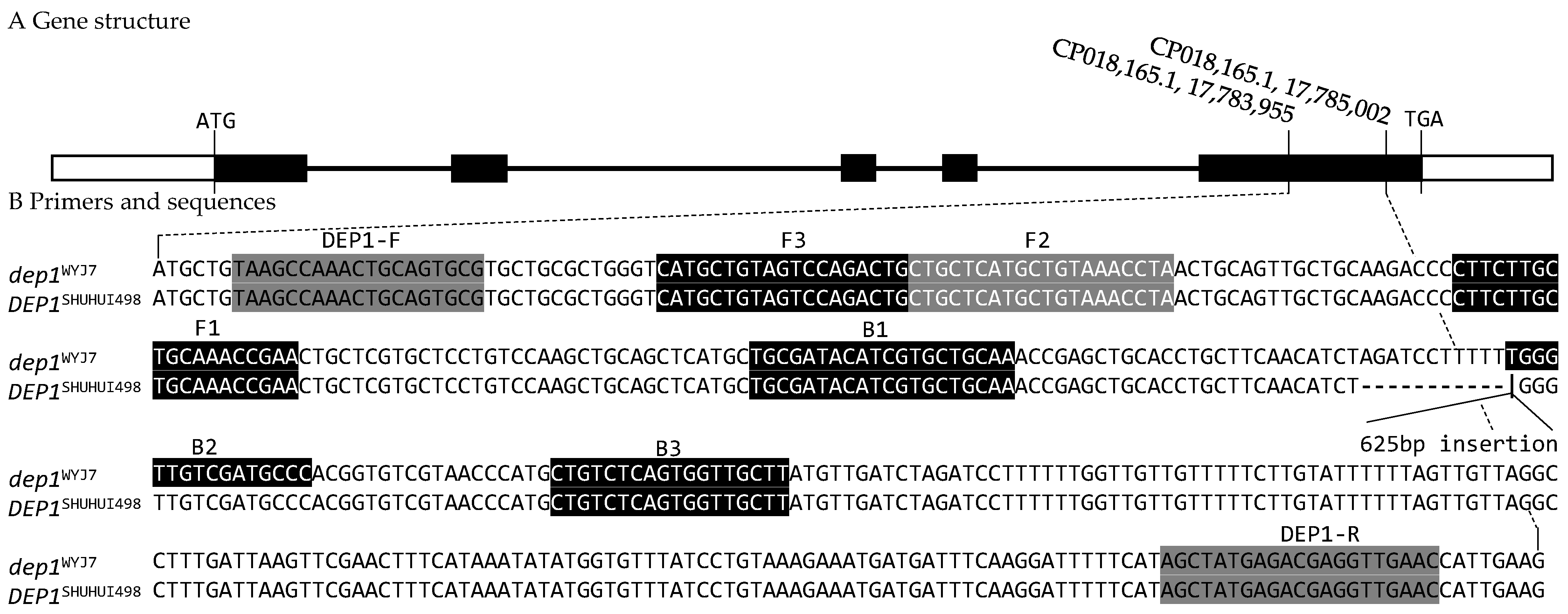 Cimb 46 00032 g001 Cimb 46 00032 g001