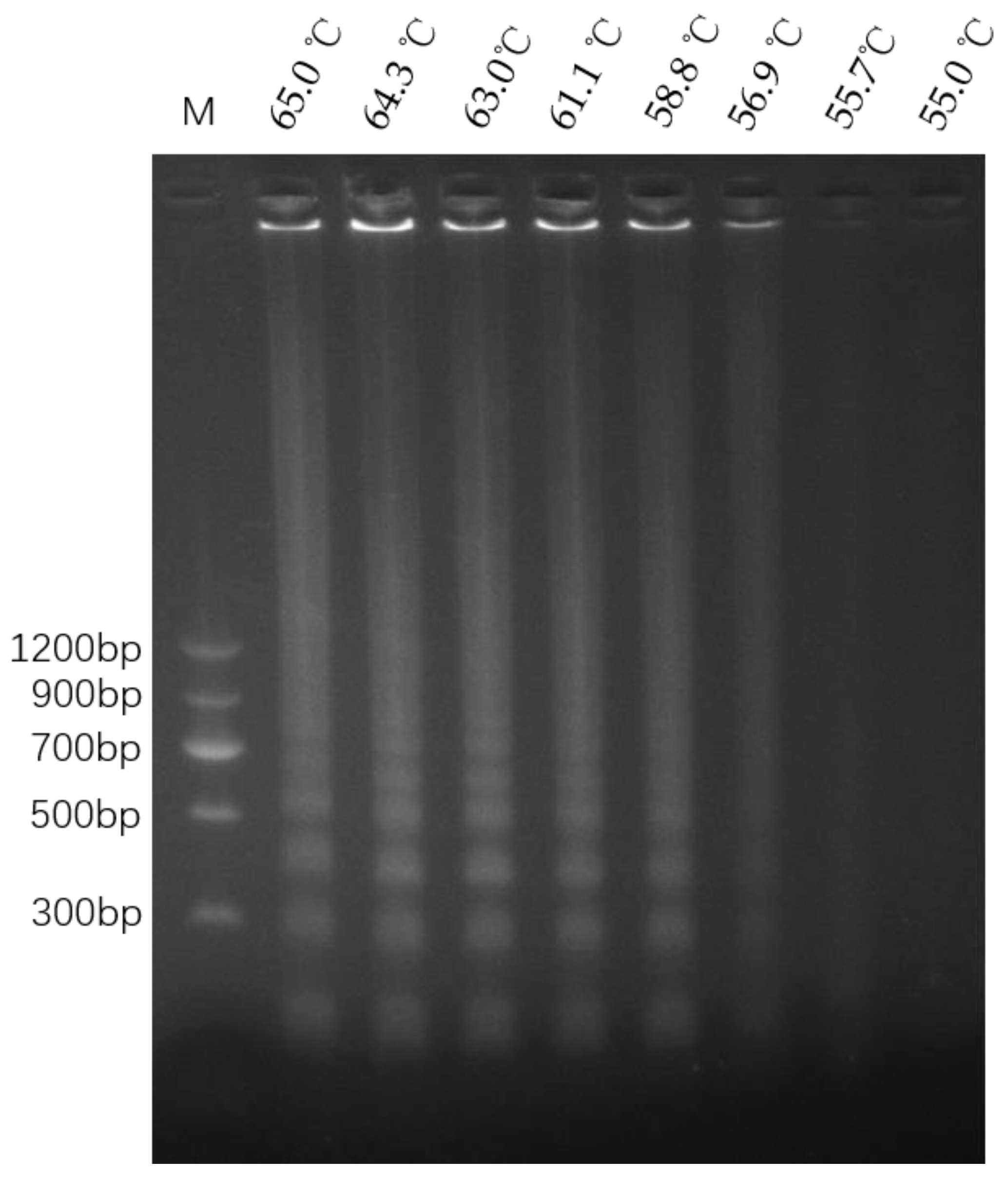 Cimb 46 00032 g004 Cimb 46 00032 g004