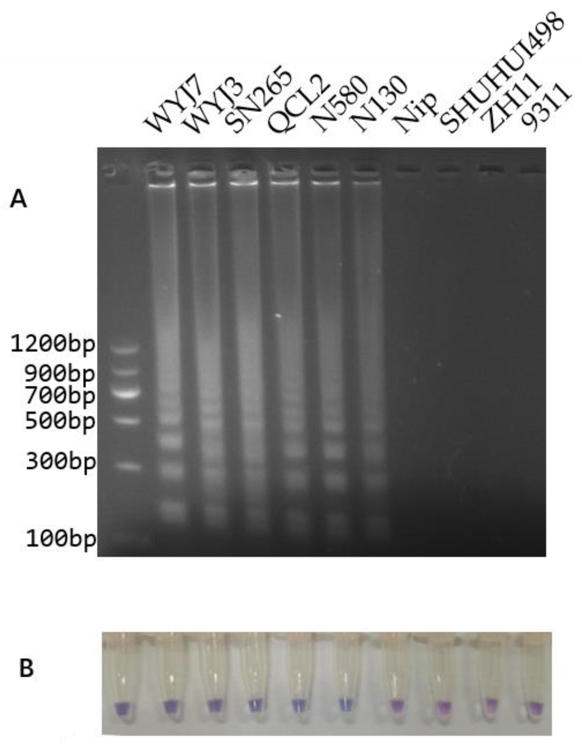 Cimb 46 00032 g005 Cimb 46 00032 g005