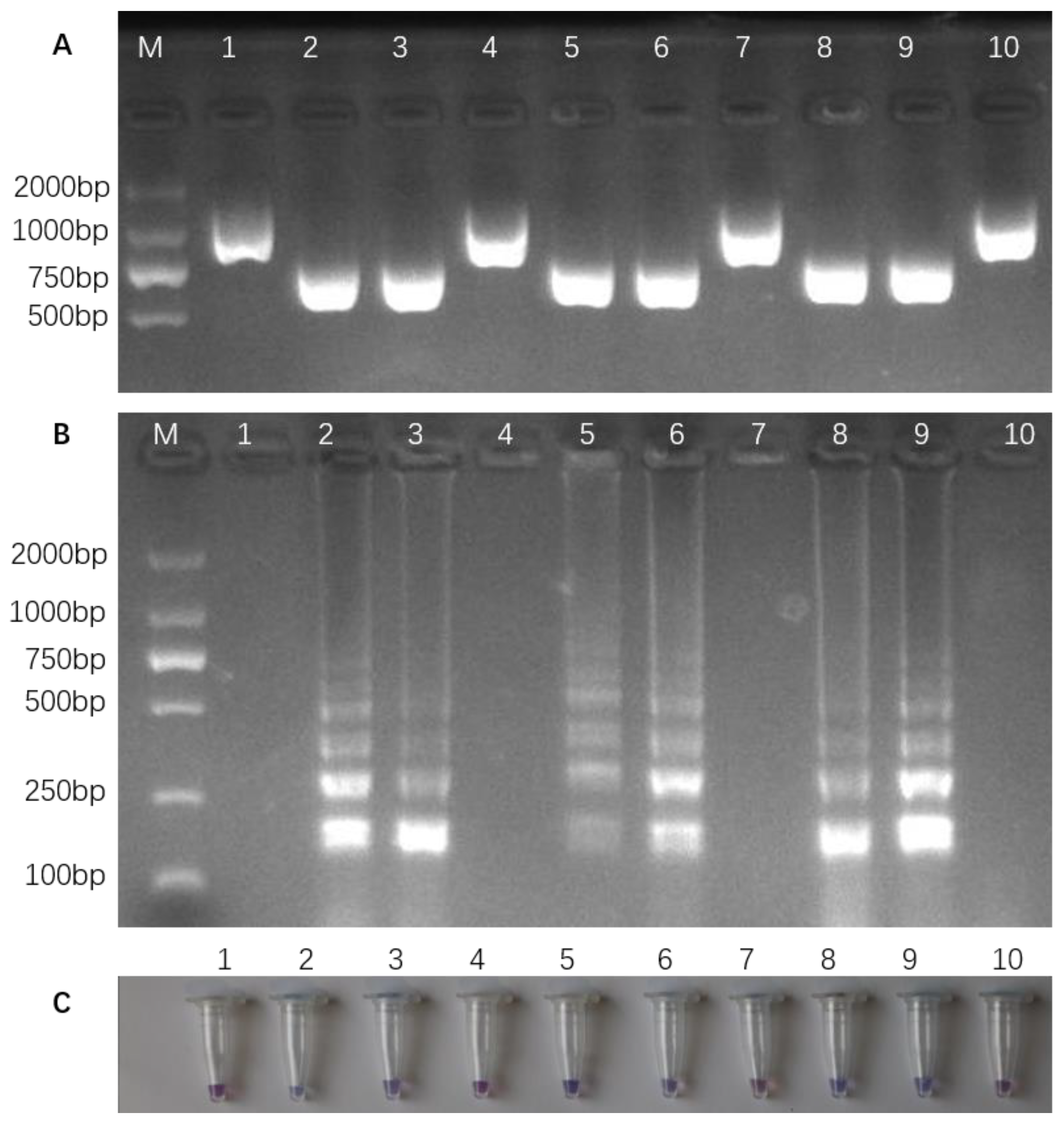 Cimb 46 00032 g008 Cimb 46 00032 g008