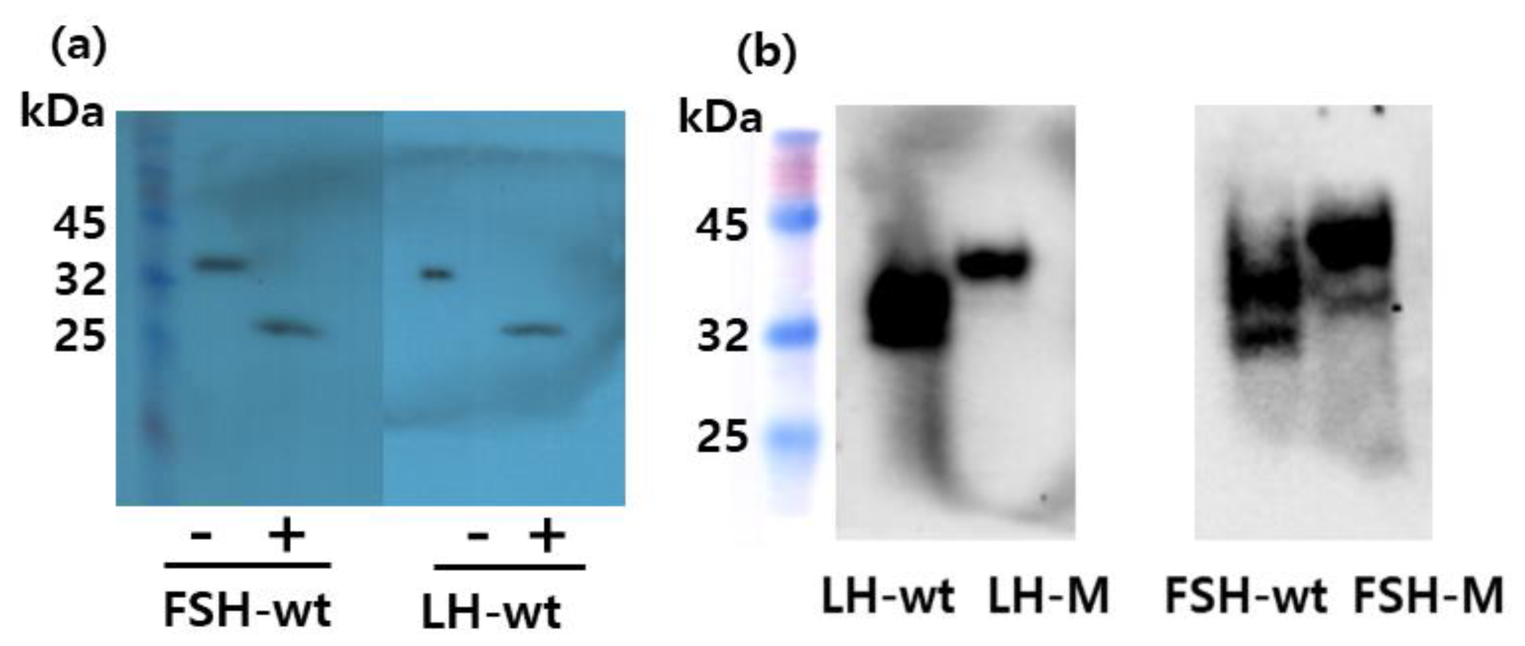 Cimb 46 00035 g003 Cimb 46 00035 g003