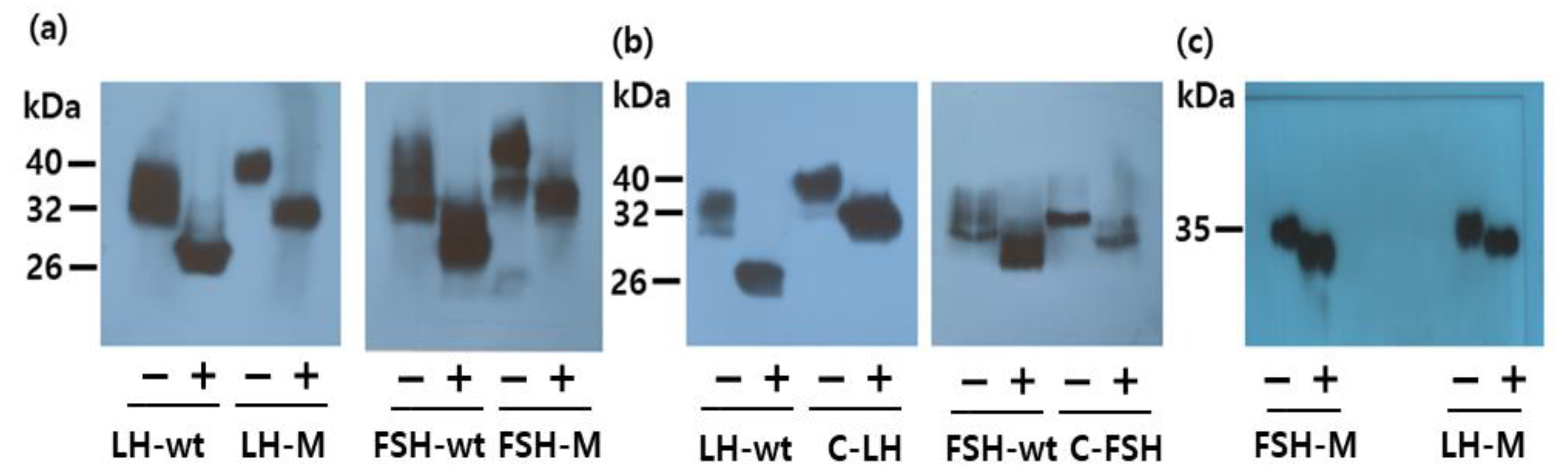 Cimb 46 00035 g004 Cimb 46 00035 g004