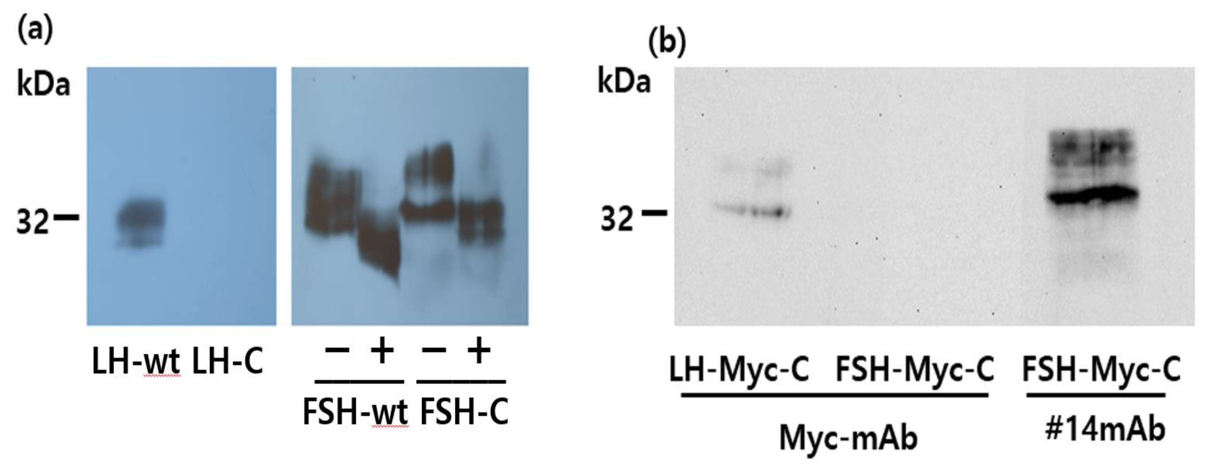 Cimb 46 00035 g007 Cimb 46 00035 g007