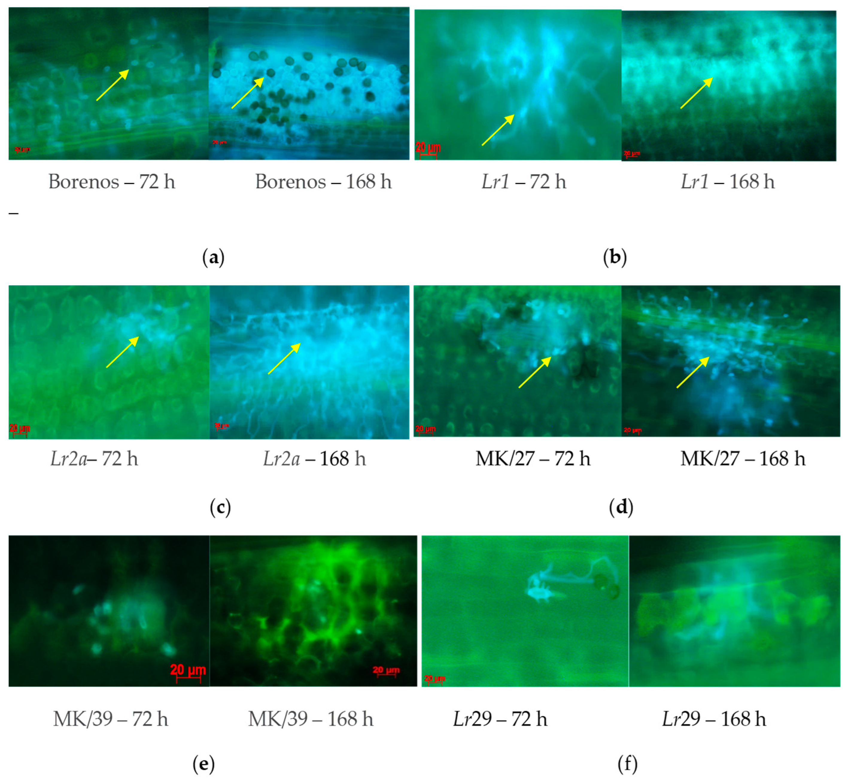 Cimb 46 00045 g003 Cimb 46 00045 g003