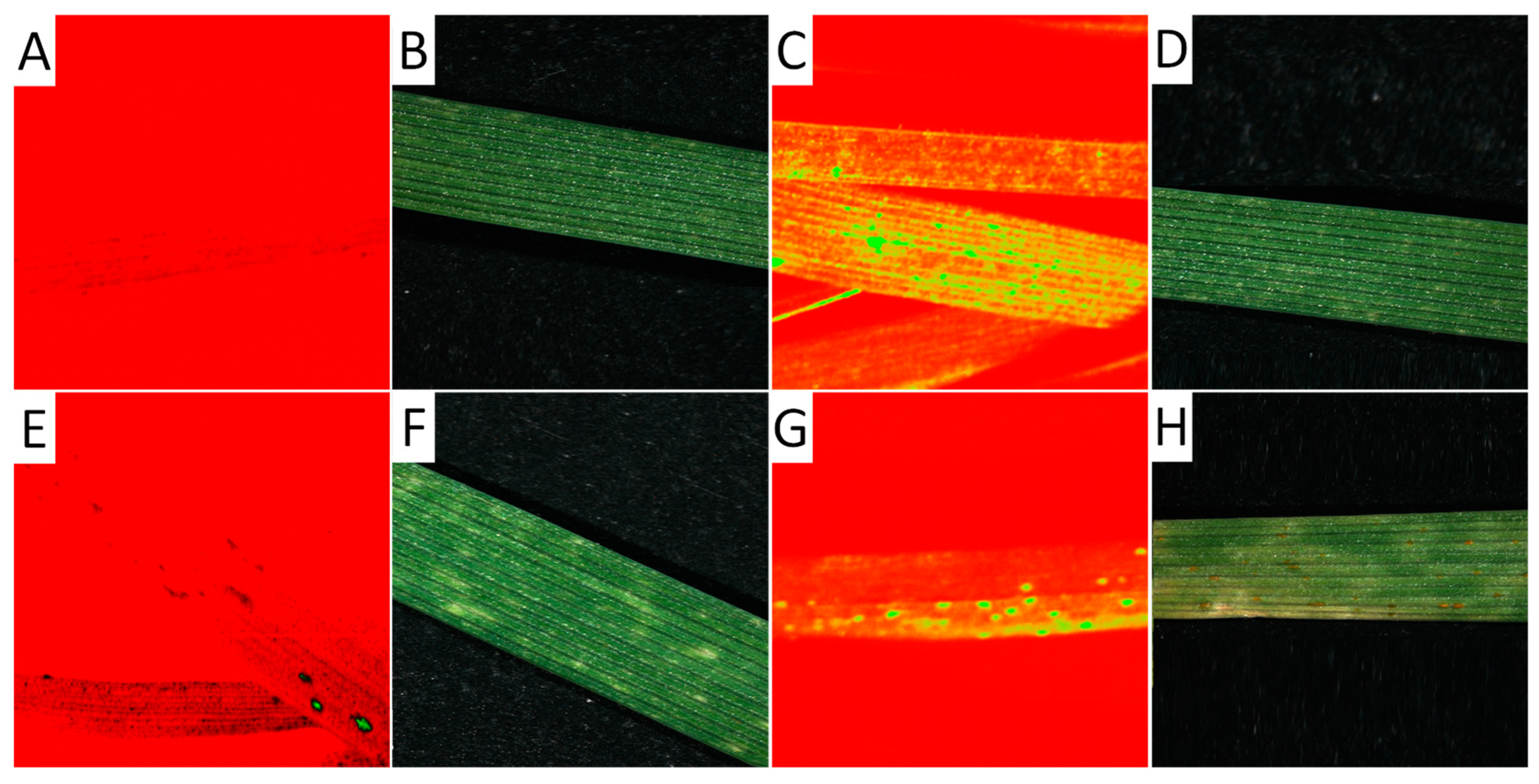 Cimb 46 00045 g004 Cimb 46 00045 g004