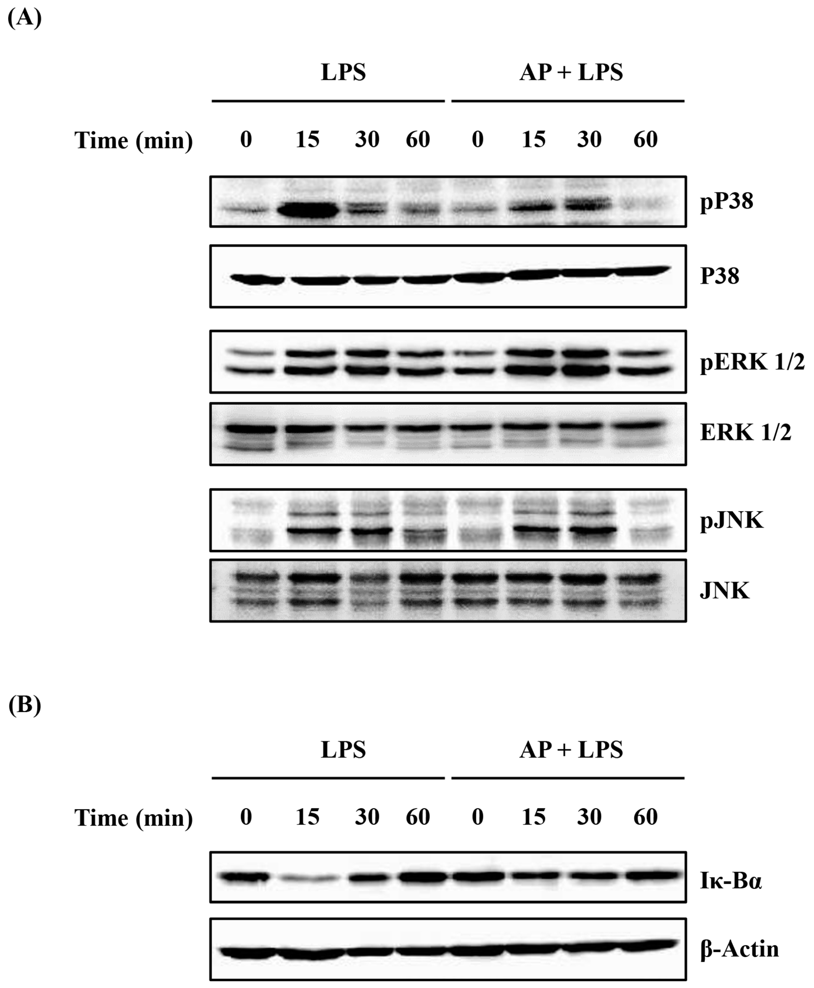 Cimb 46 00056 g005 Cimb 46 00056 g005