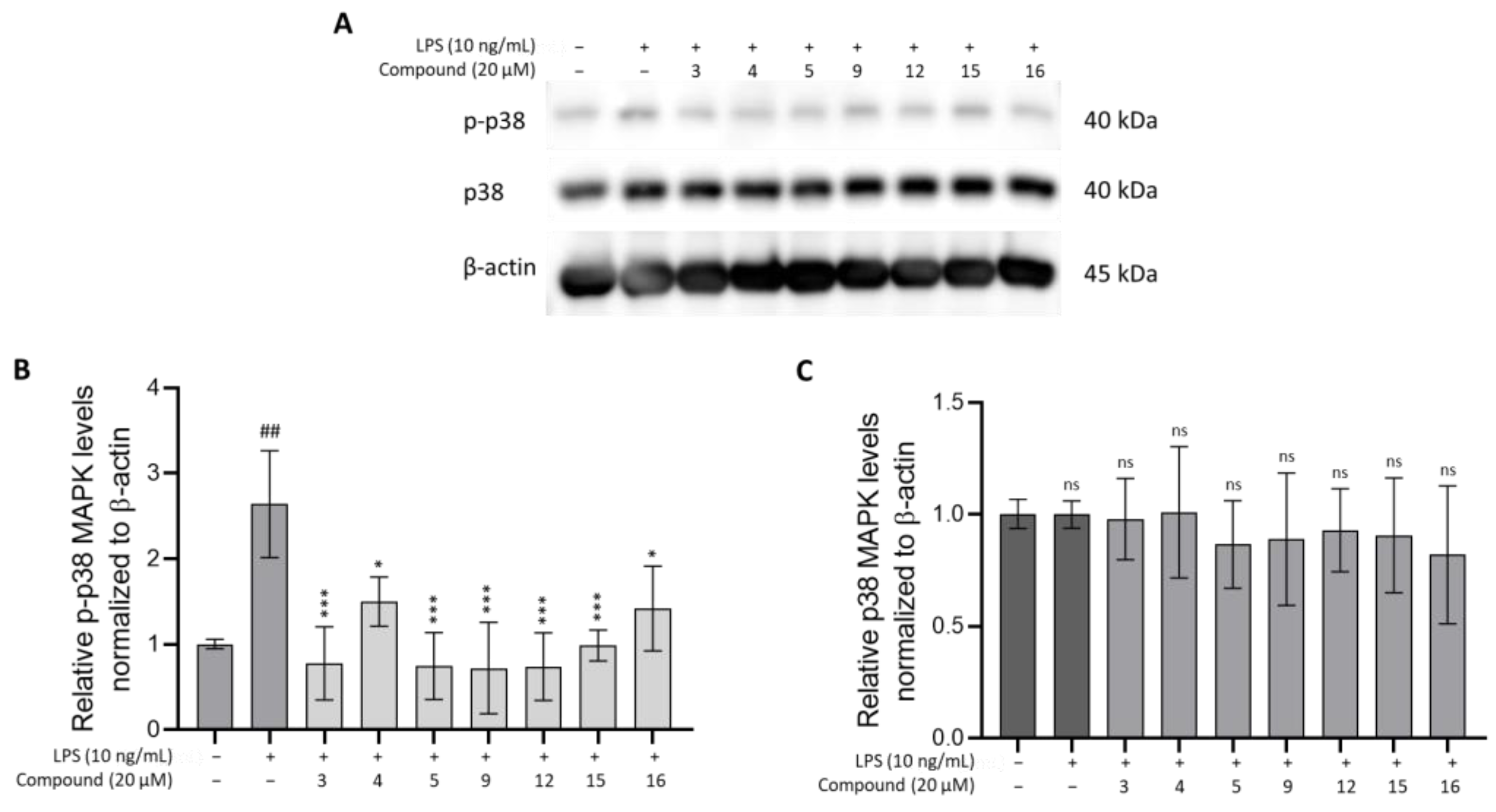 Cimb 46 00058 g007 Cimb 46 00058 g007