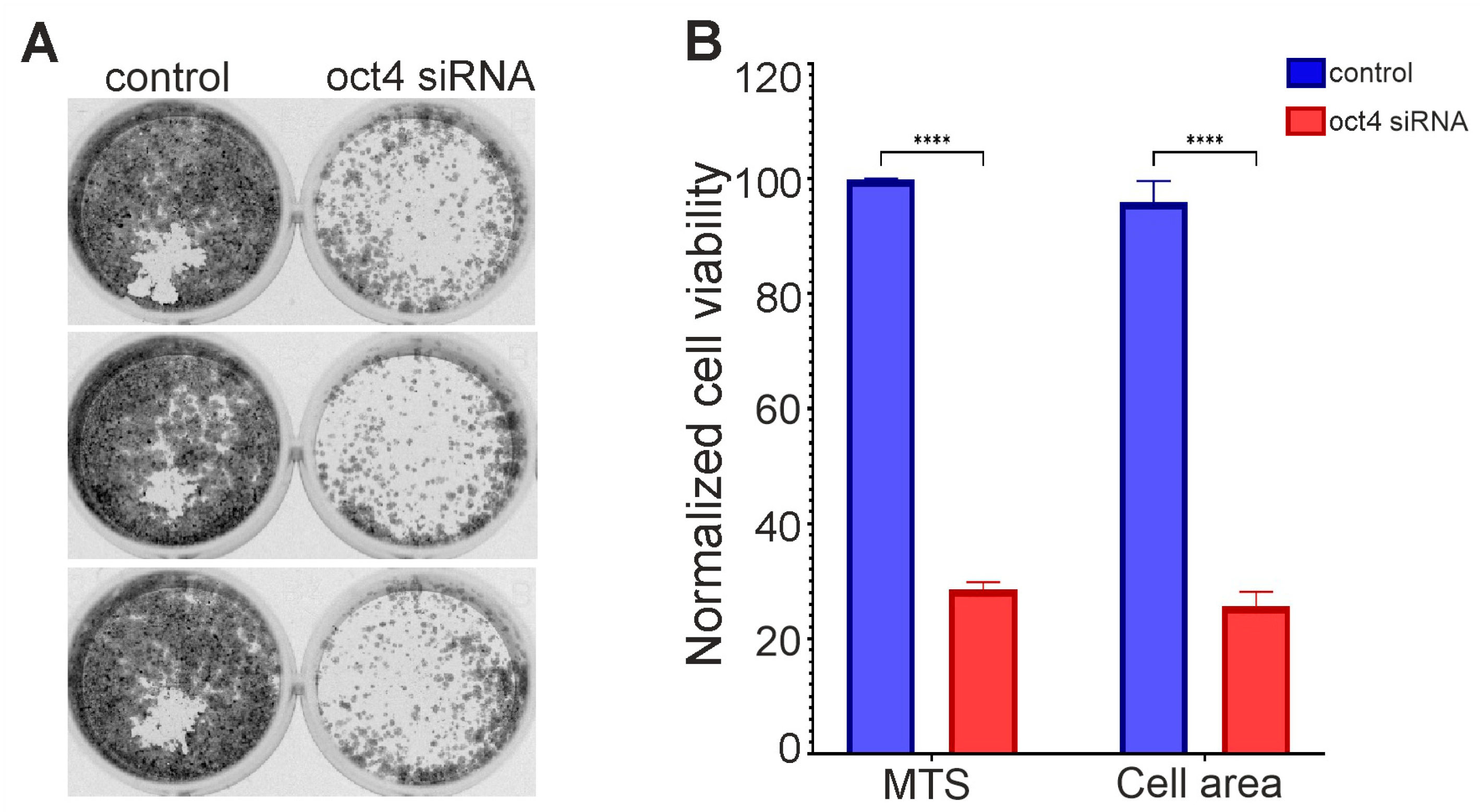 Cimb 46 00070 g002 Cimb 46 00070 g002
