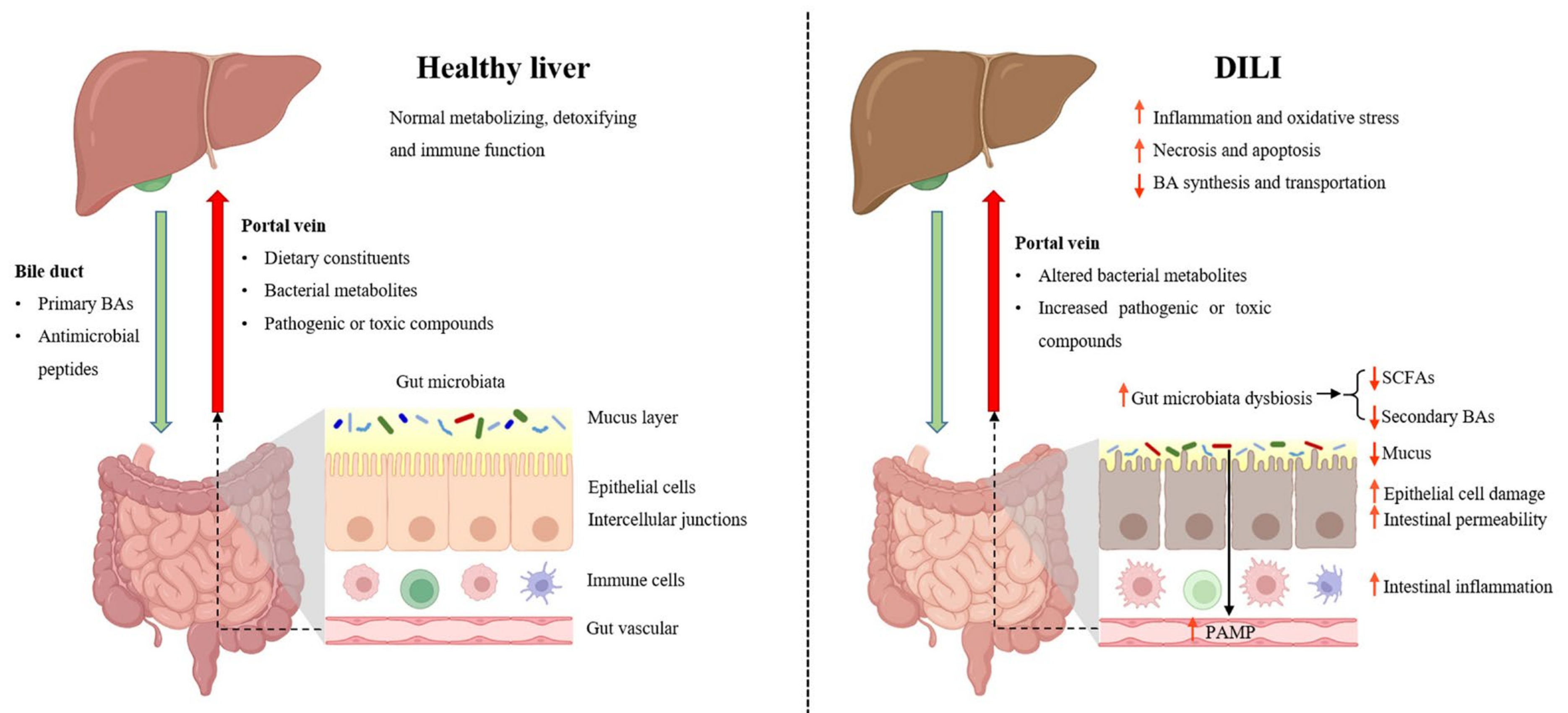 Cimb 46 00078 g001 Cimb 46 00078 g001