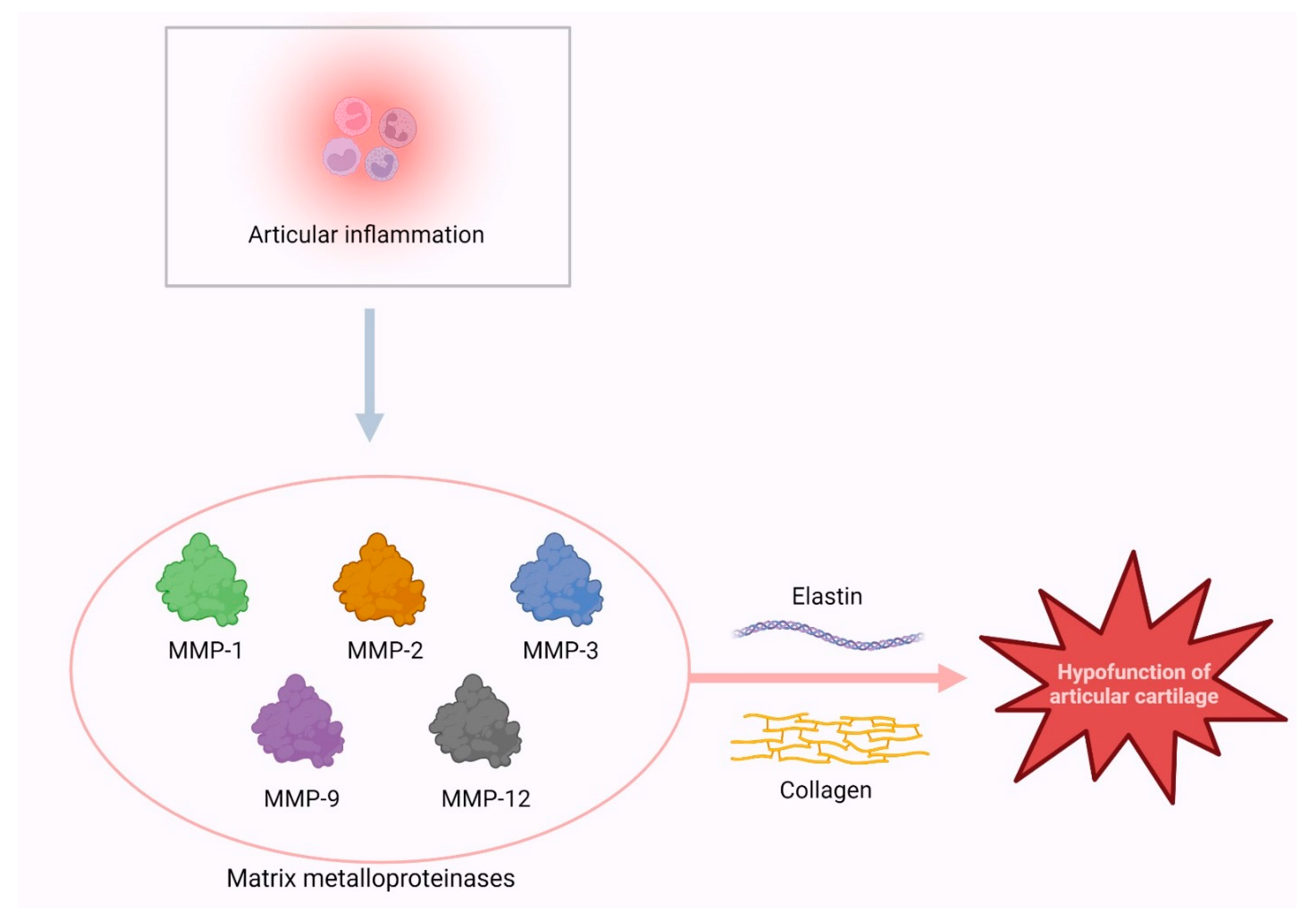 Cimb 46 00079 g002 Cimb 46 00079 g002
