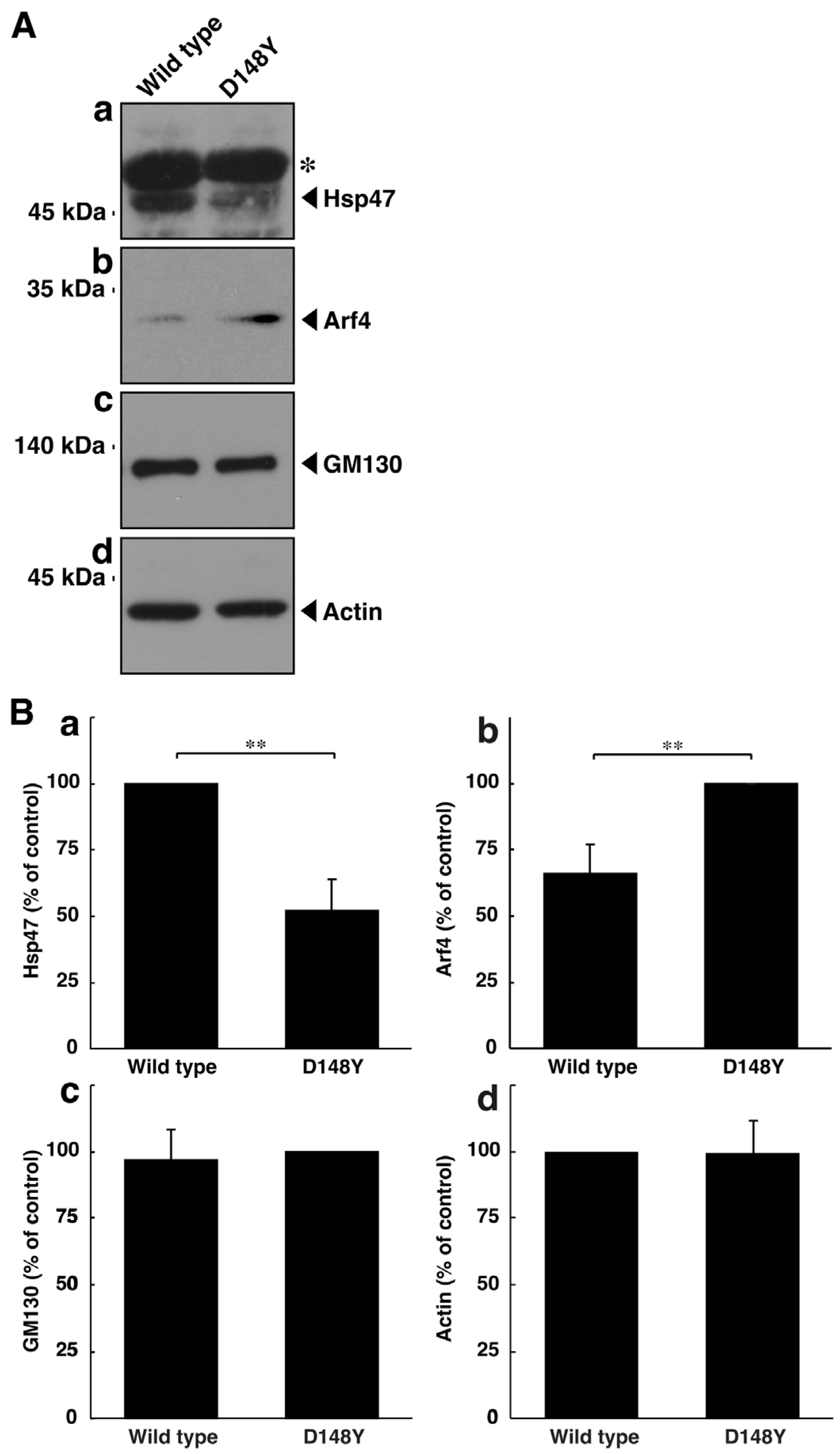 Cimb 46 00090 g002 Cimb 46 00090 g002