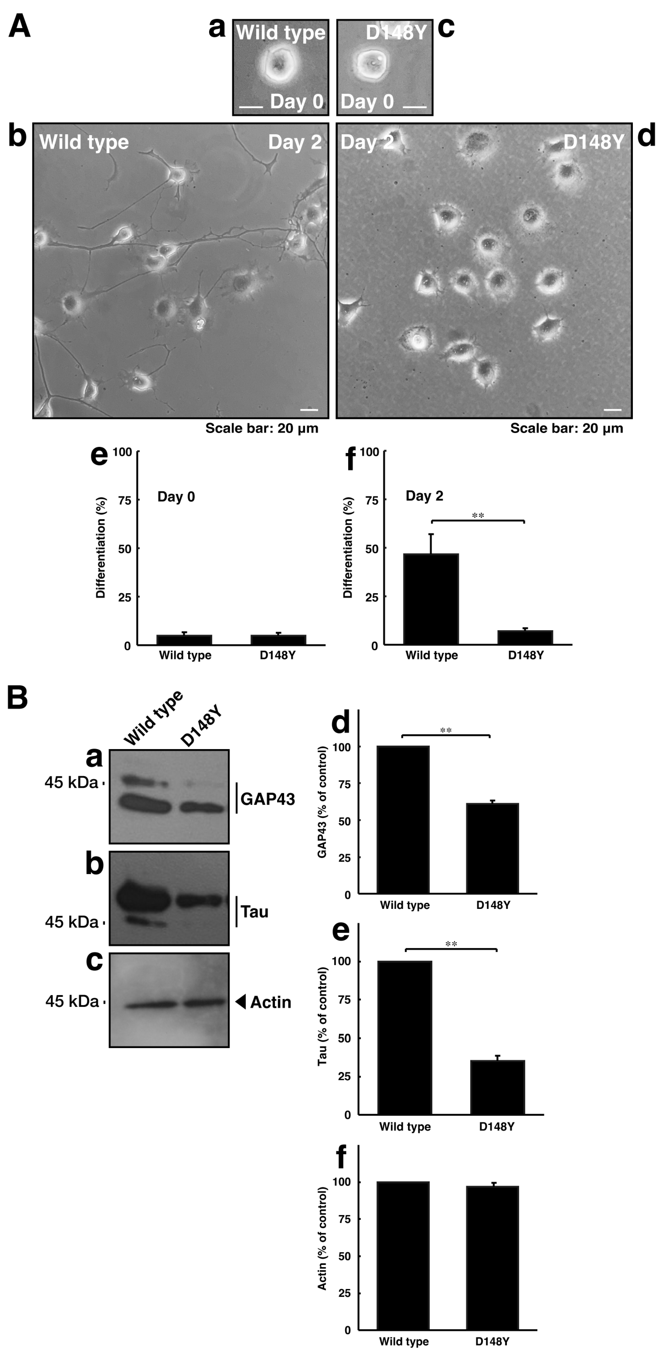 Cimb 46 00090 g003 Cimb 46 00090 g003