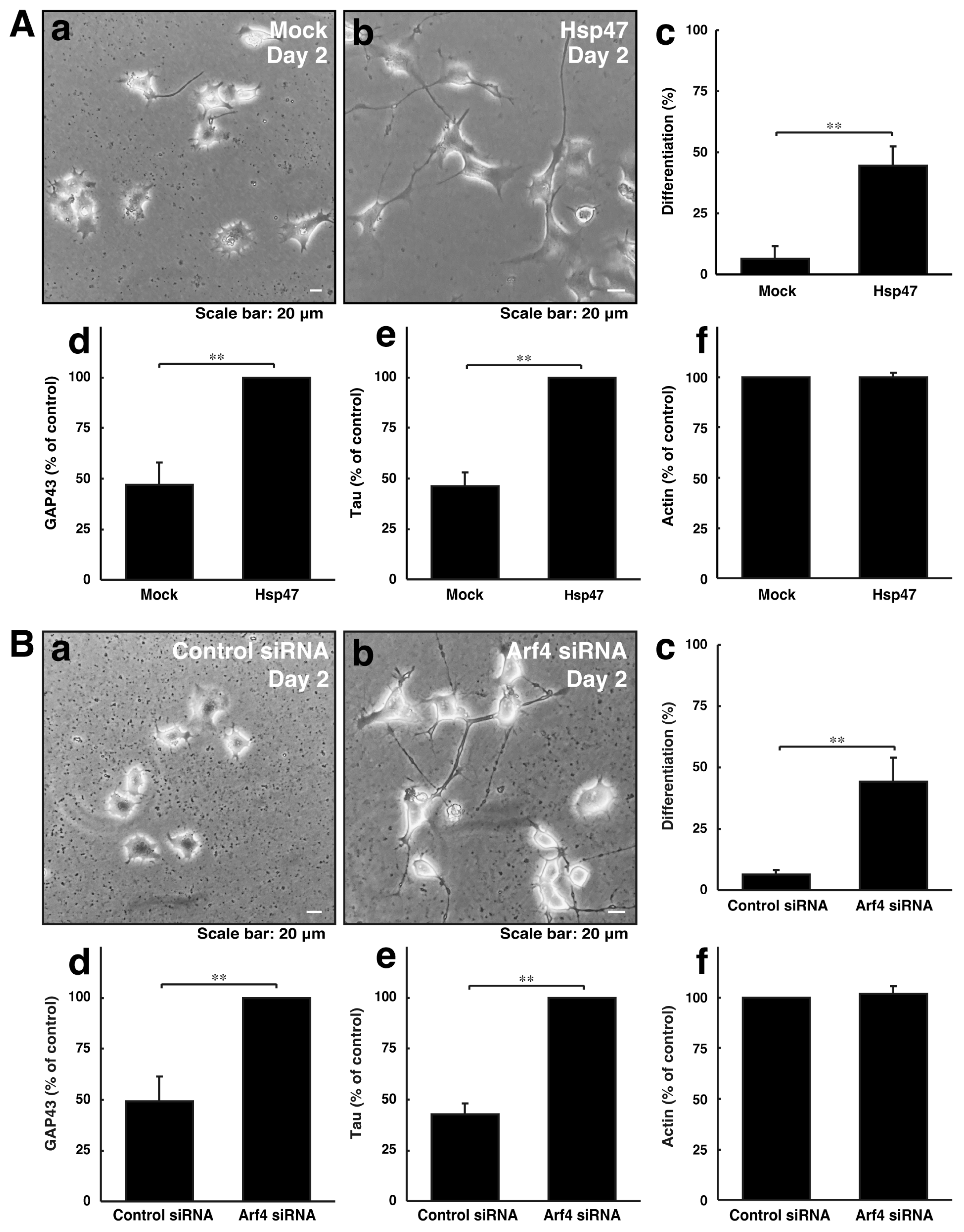 Cimb 46 00090 g004 Cimb 46 00090 g004