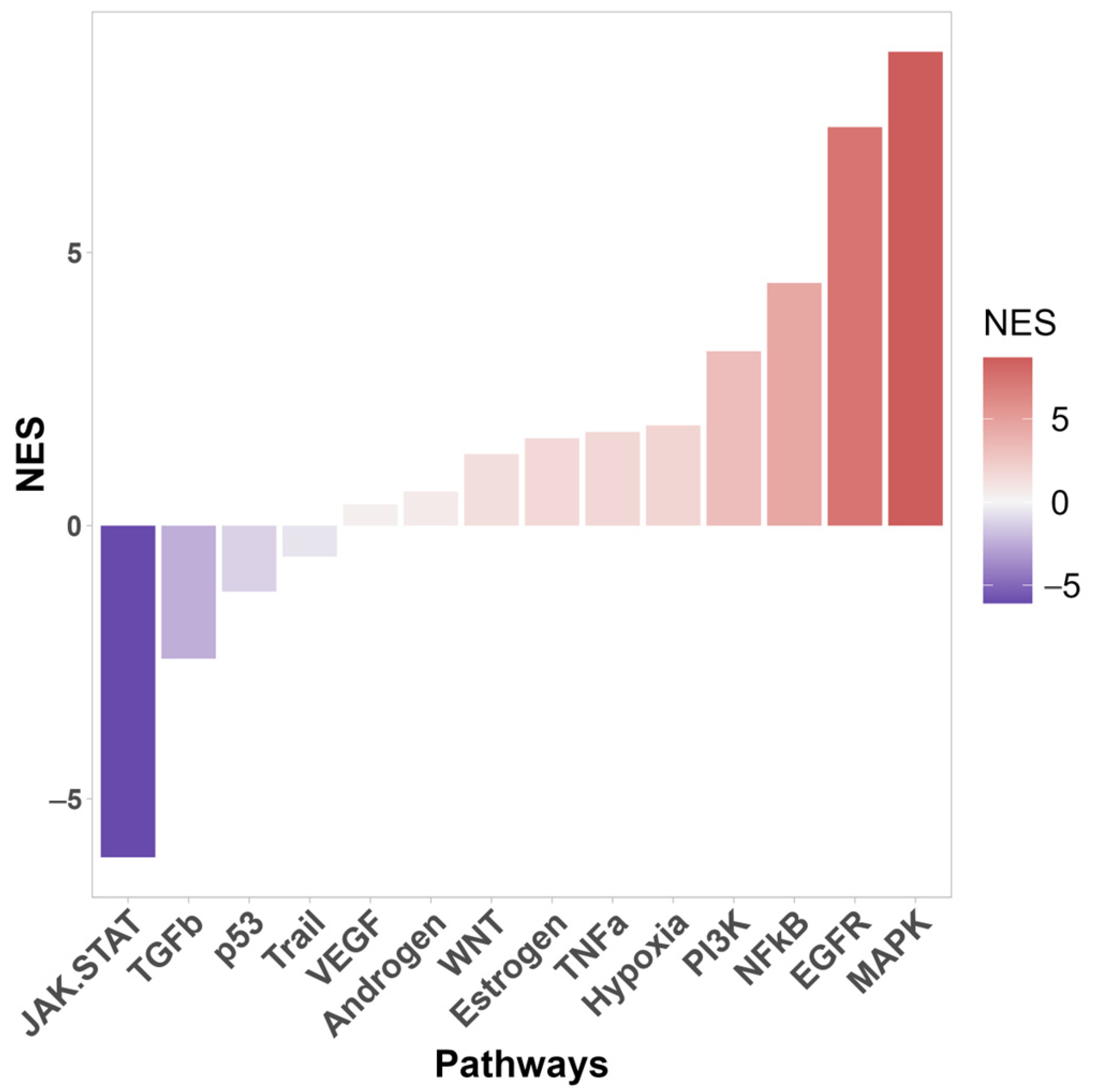 Cimb 46 00094 g002 Cimb 46 00094 g002