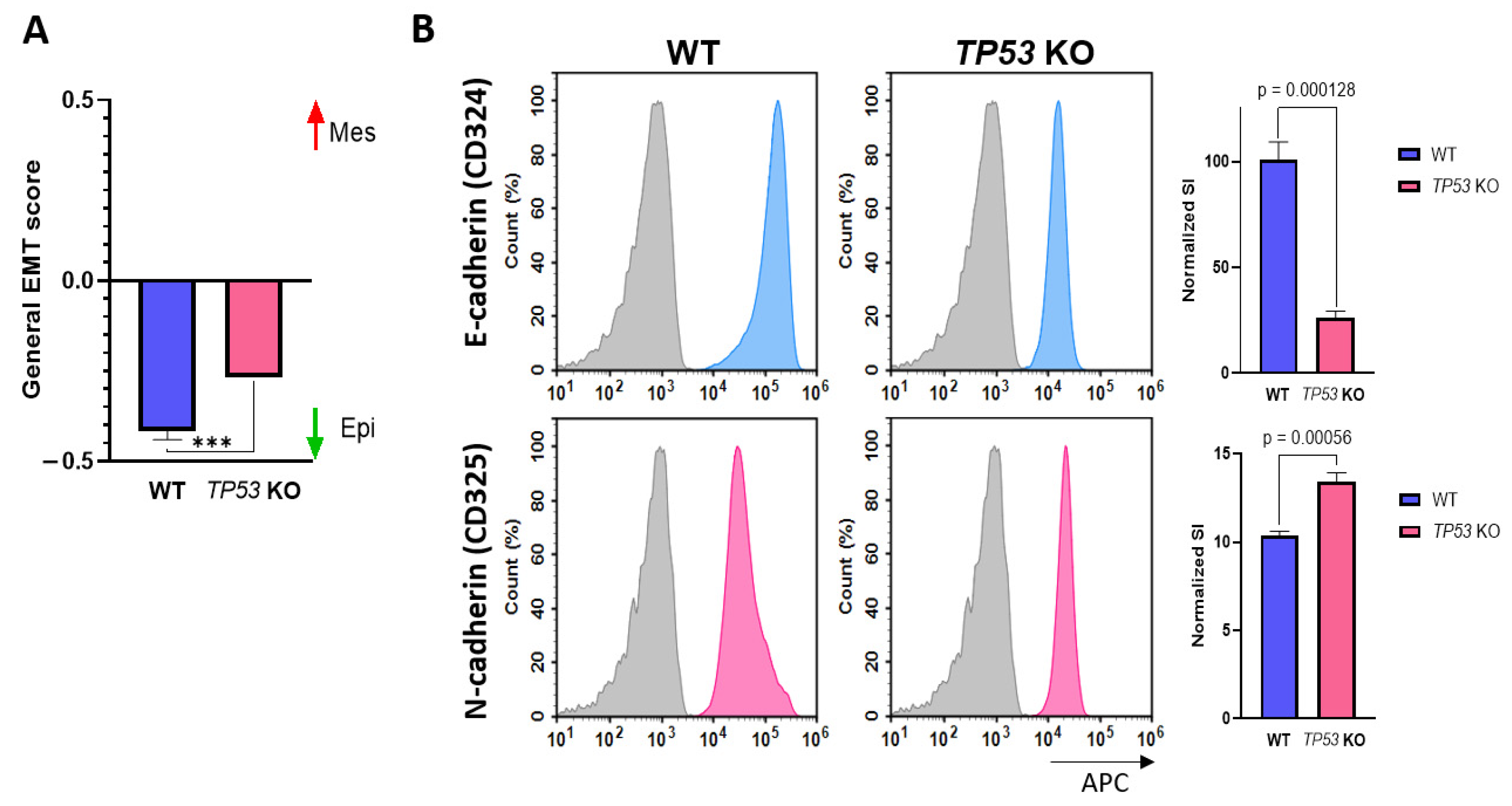 Cimb 46 00094 g004 Cimb 46 00094 g004