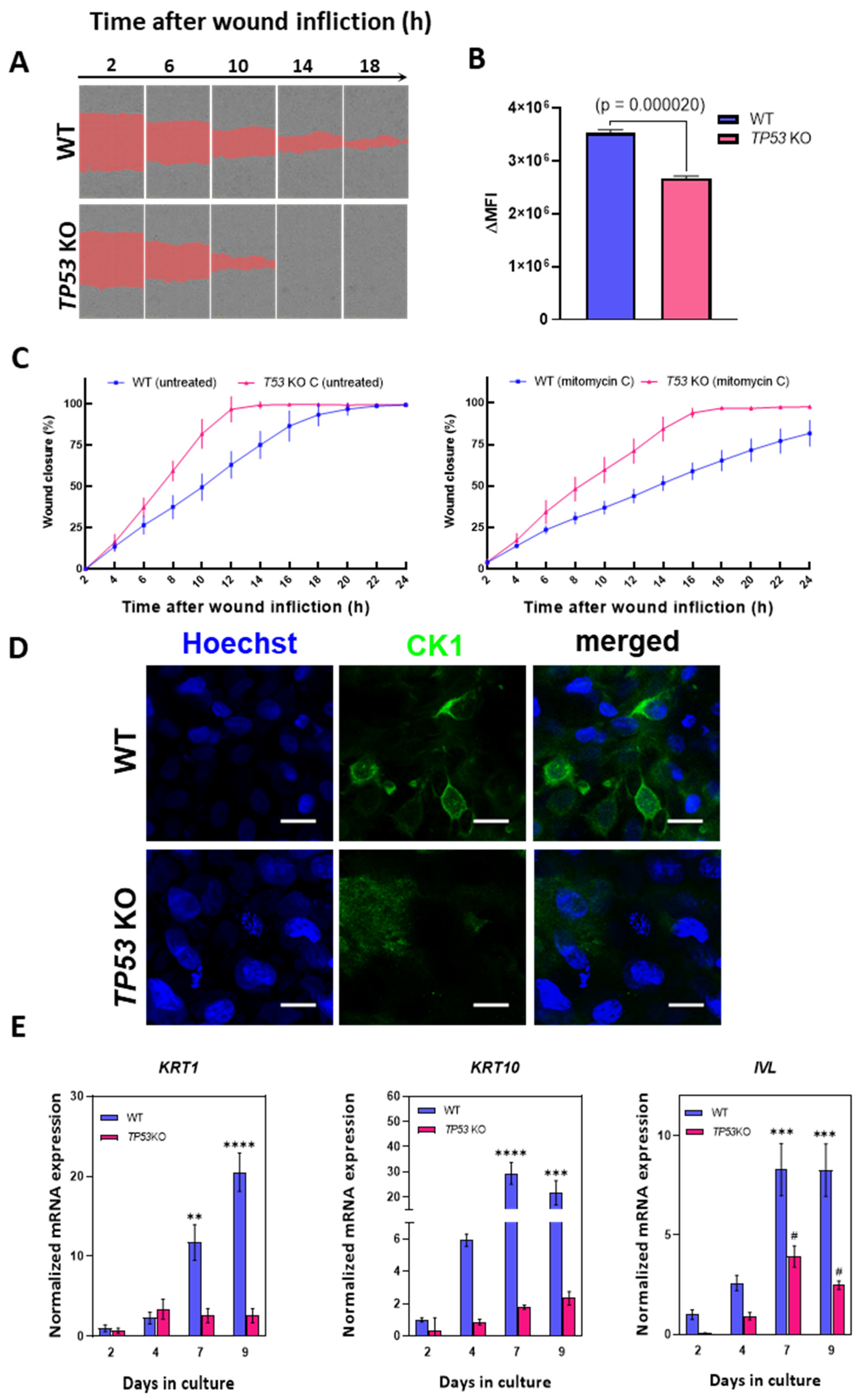 Cimb 46 00094 g005 Cimb 46 00094 g005