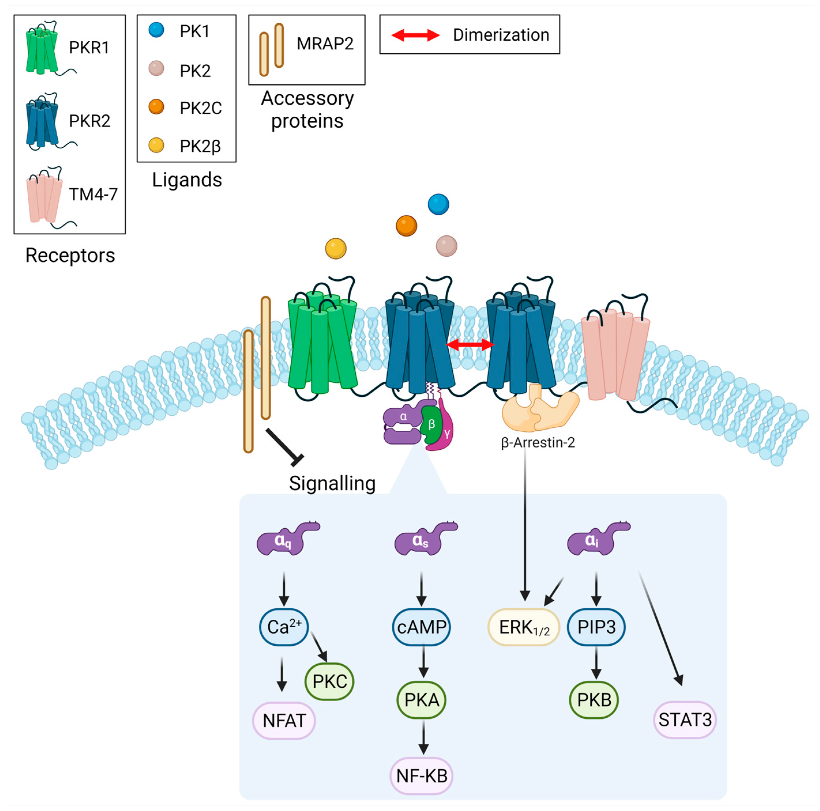 Cimb 46 00104 sch001