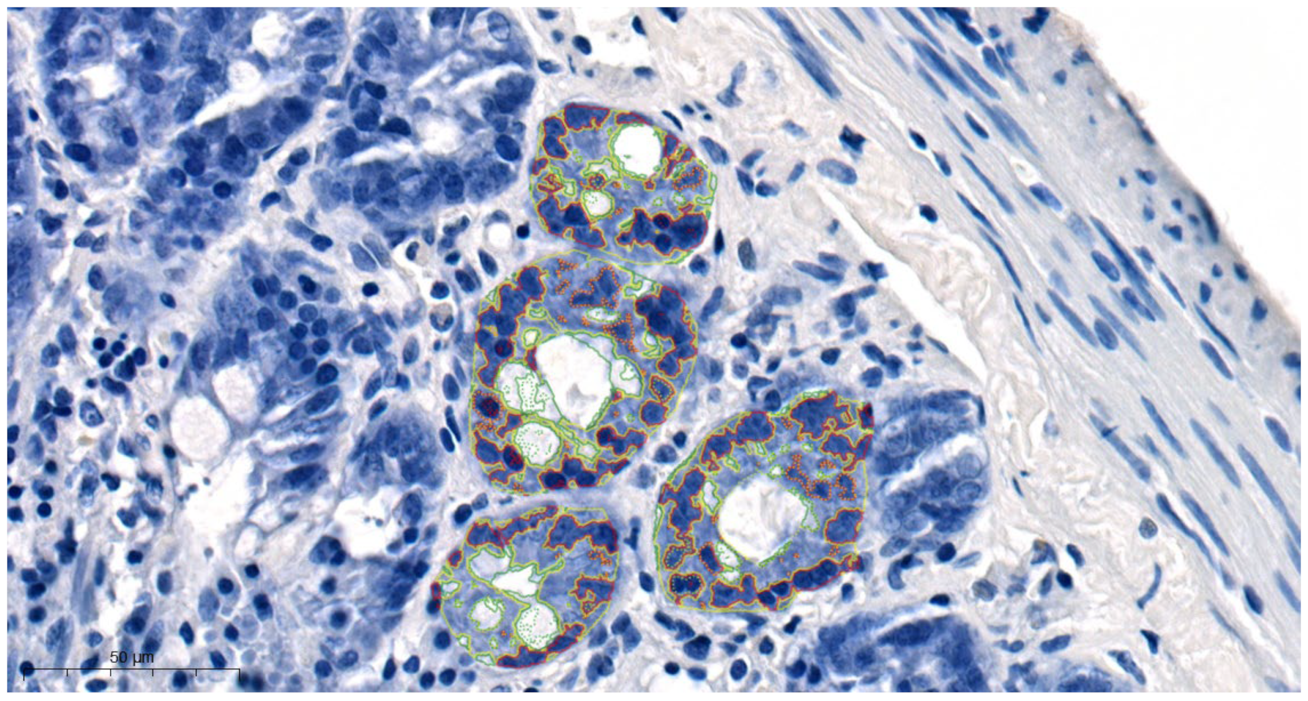 Cimb 46 00127 g001 Cimb 46 00127 g001