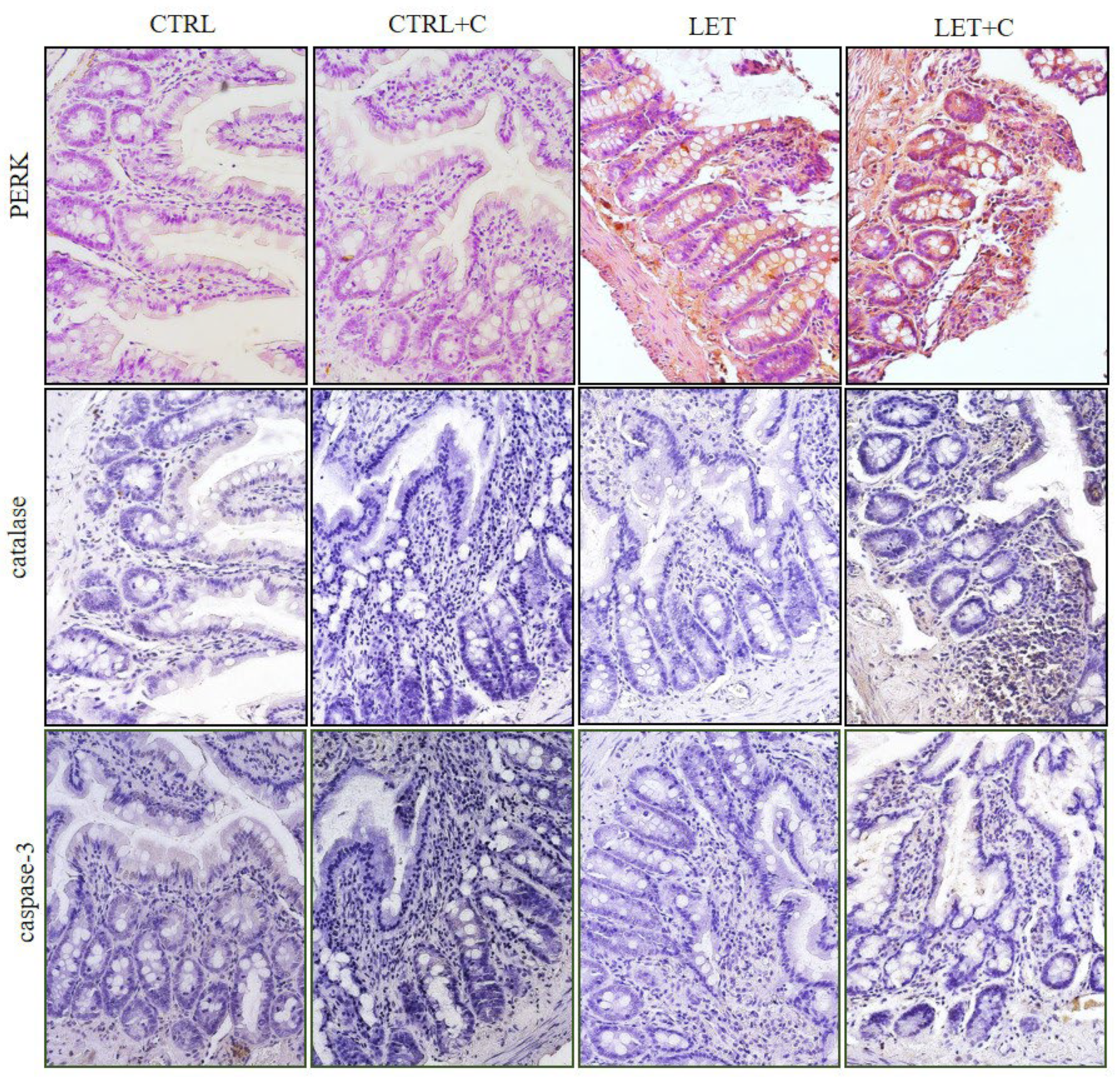 Cimb 46 00127 g004 Cimb 46 00127 g004