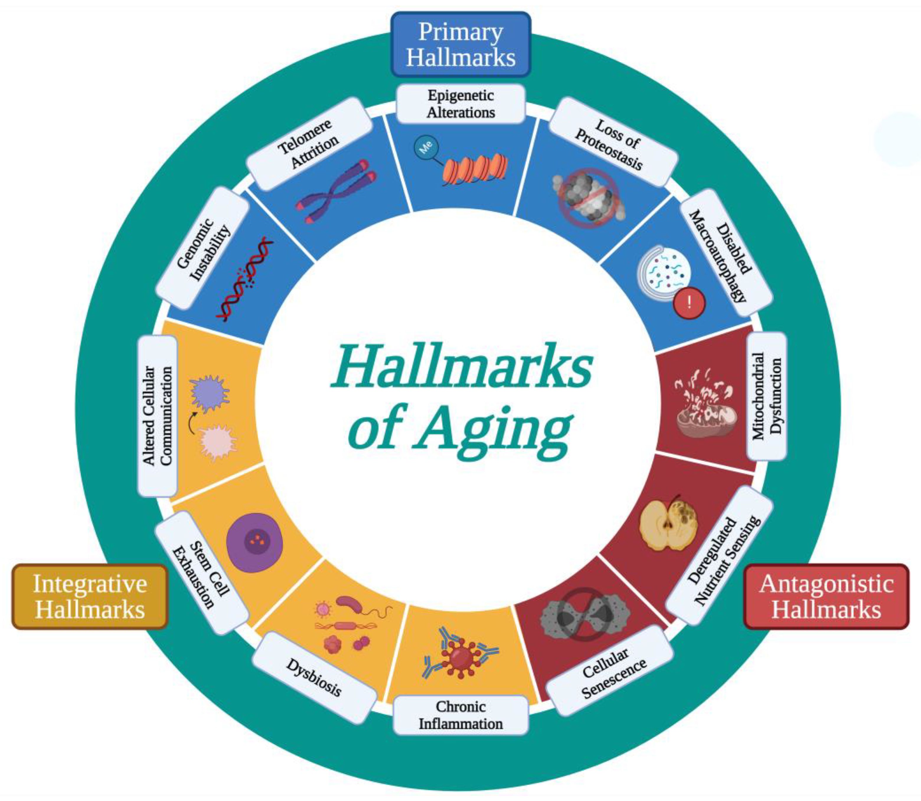 Cimb 46 00130 g001 Cimb 46 00130 g001