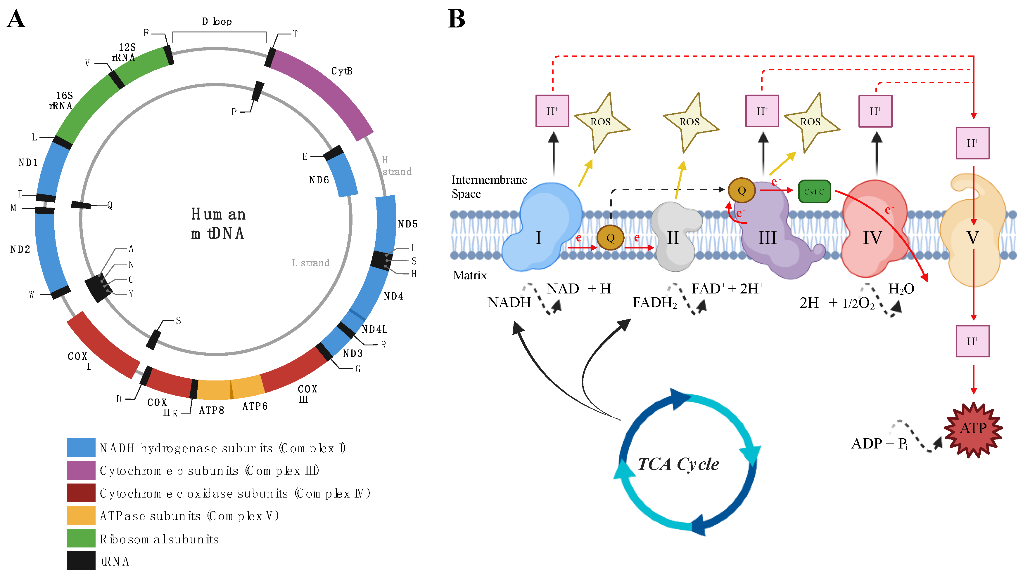 Cimb 46 00130 g002 Cimb 46 00130 g002